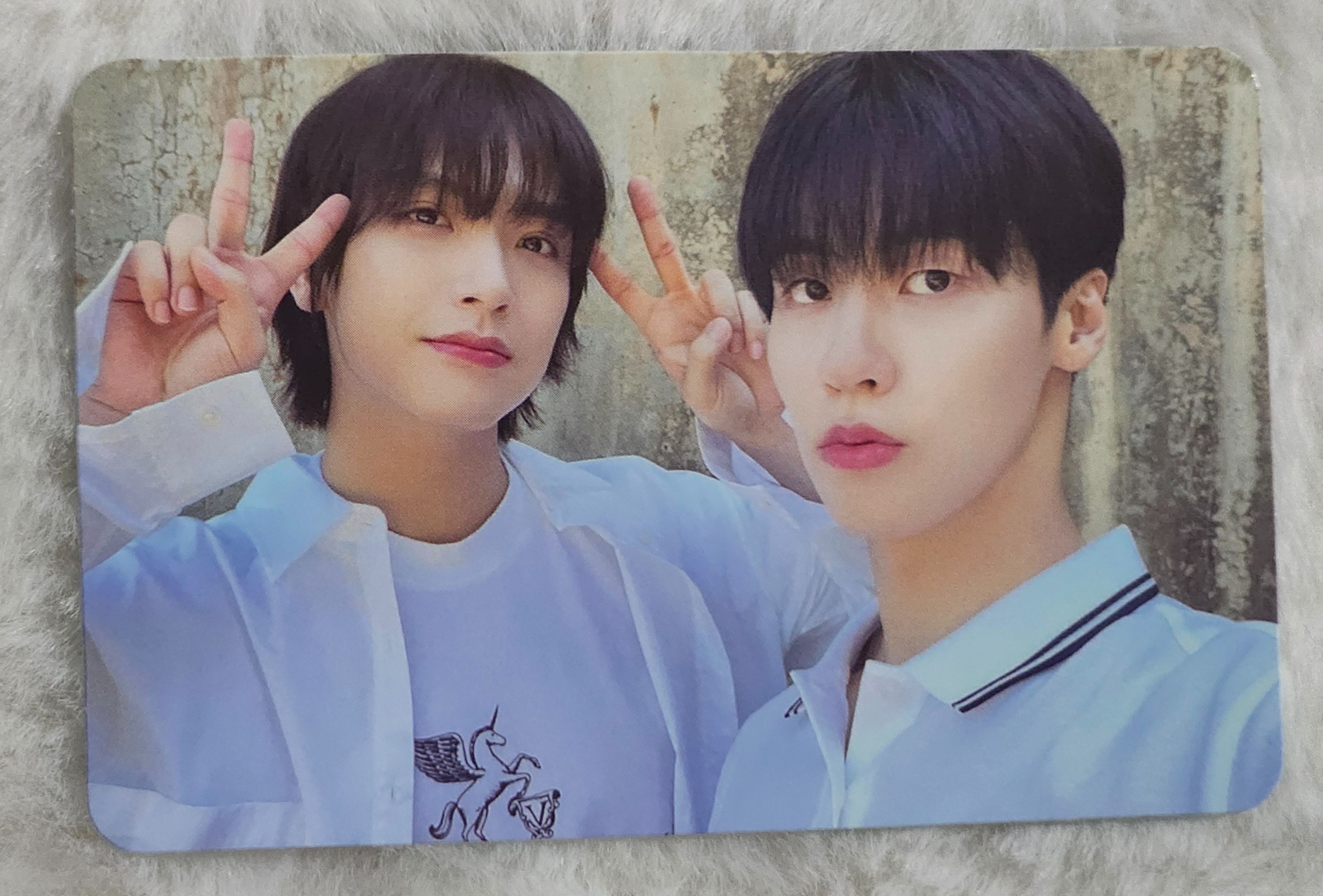 團體🦊🐱🐶🐰🐹