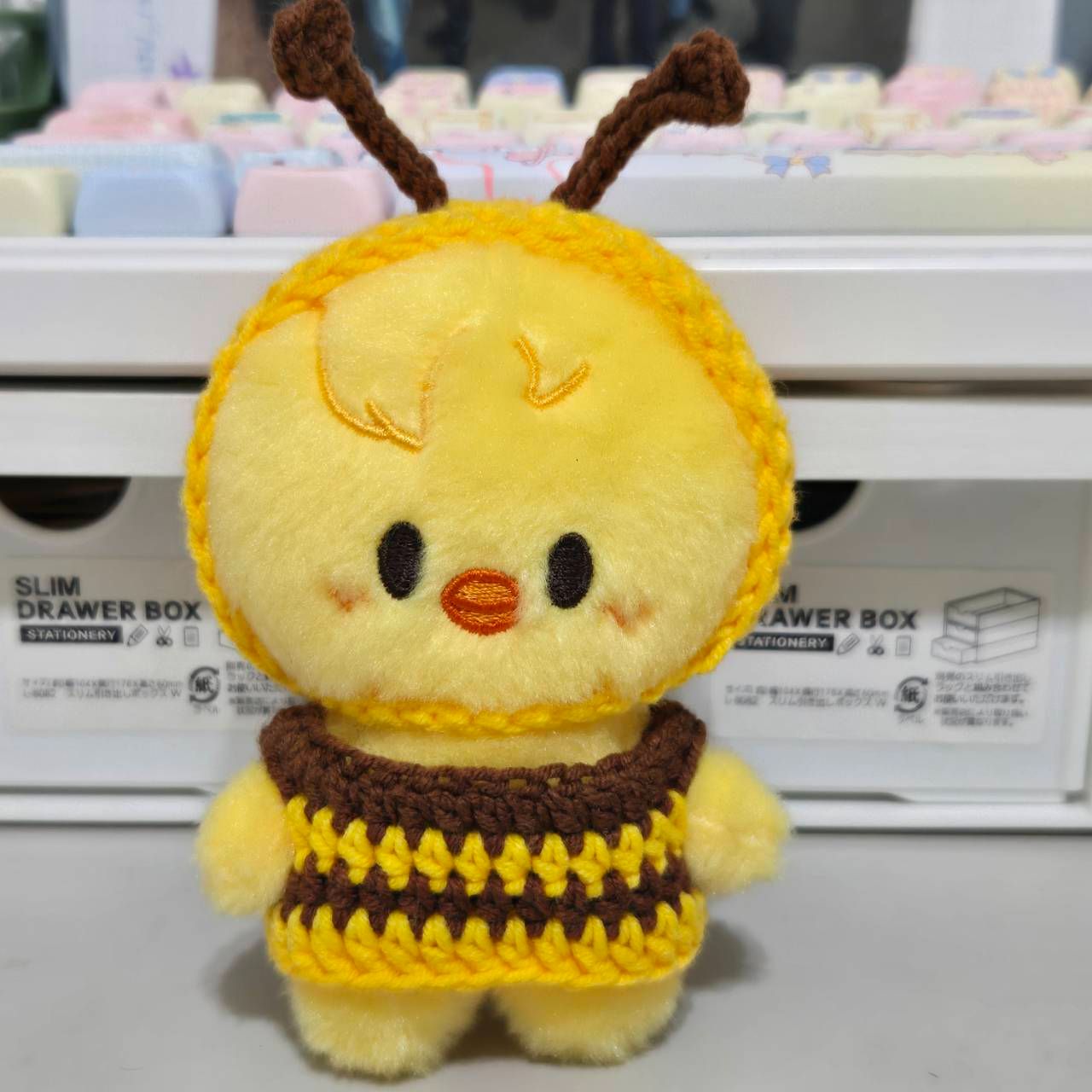 -娃衣-小蜜蜂🐝