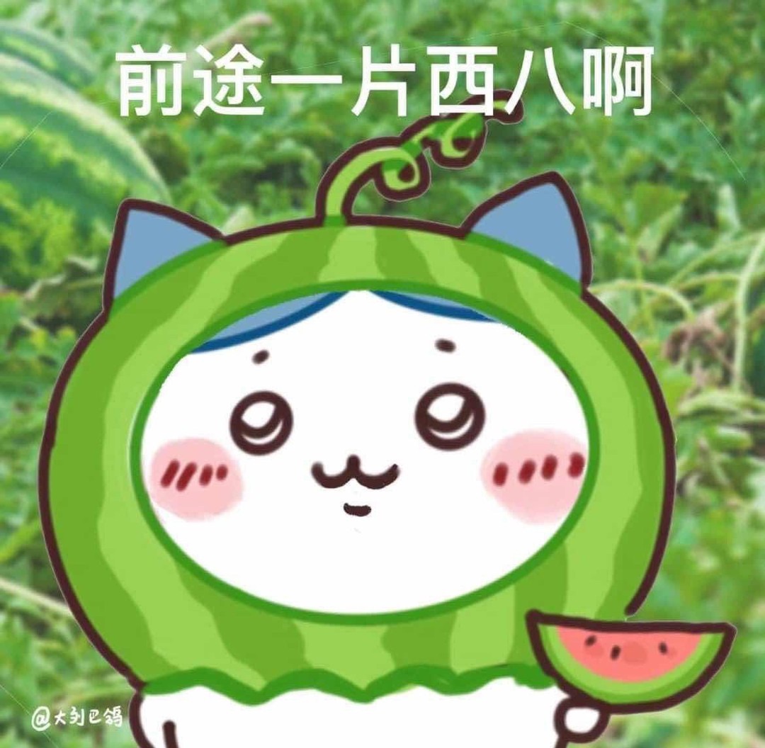 Chiikawa盲包/盲抽確認款