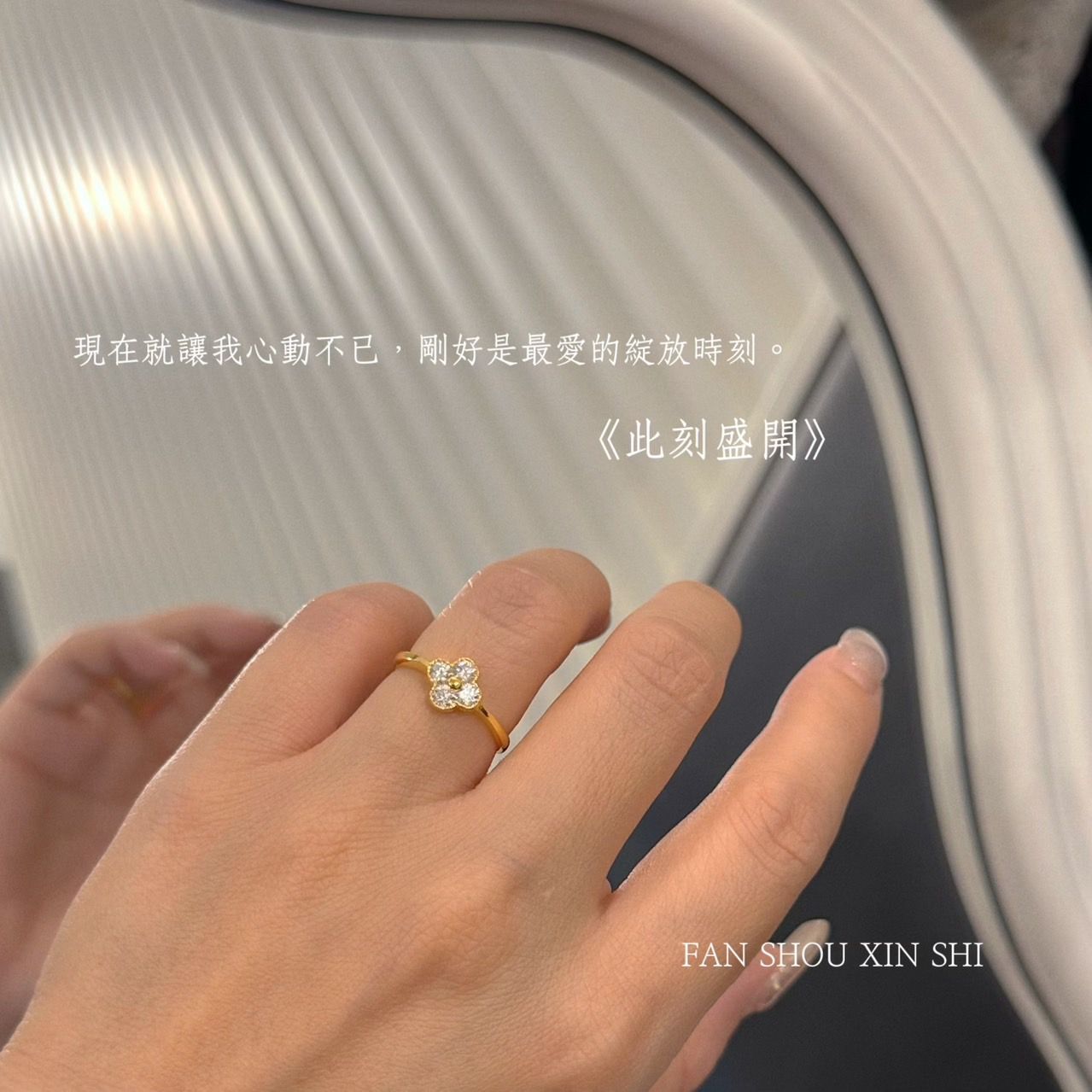 帶鑽款✨女神系列💍