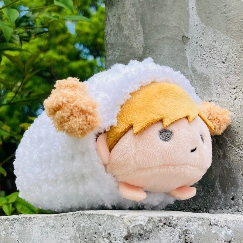 羊咩咩毛絨絨睡衣🐑