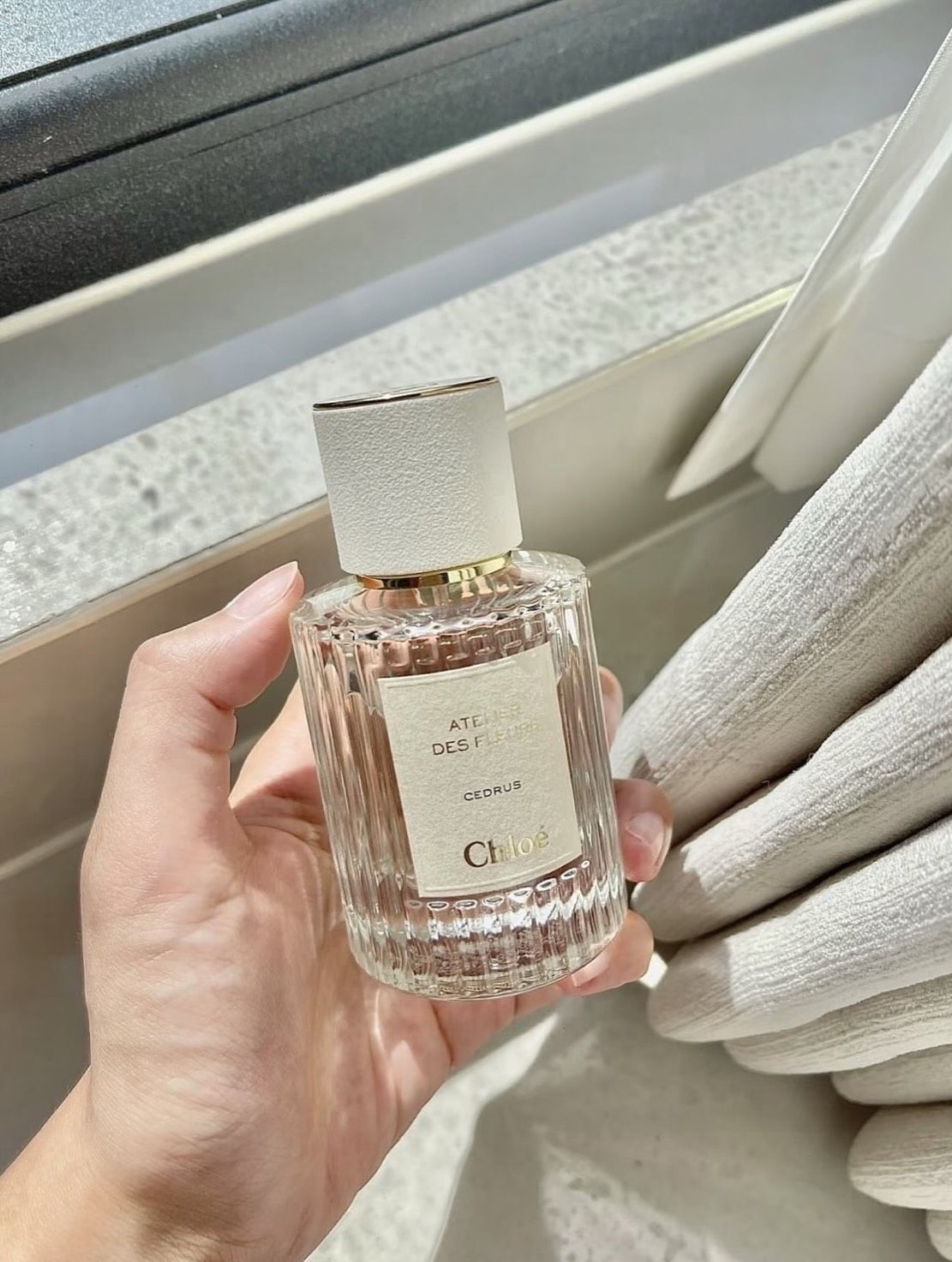 小編自留＜預購＞C h l o e 仙 境 花 園 系 列 香 氛 北 國 雪 松 香水50ml