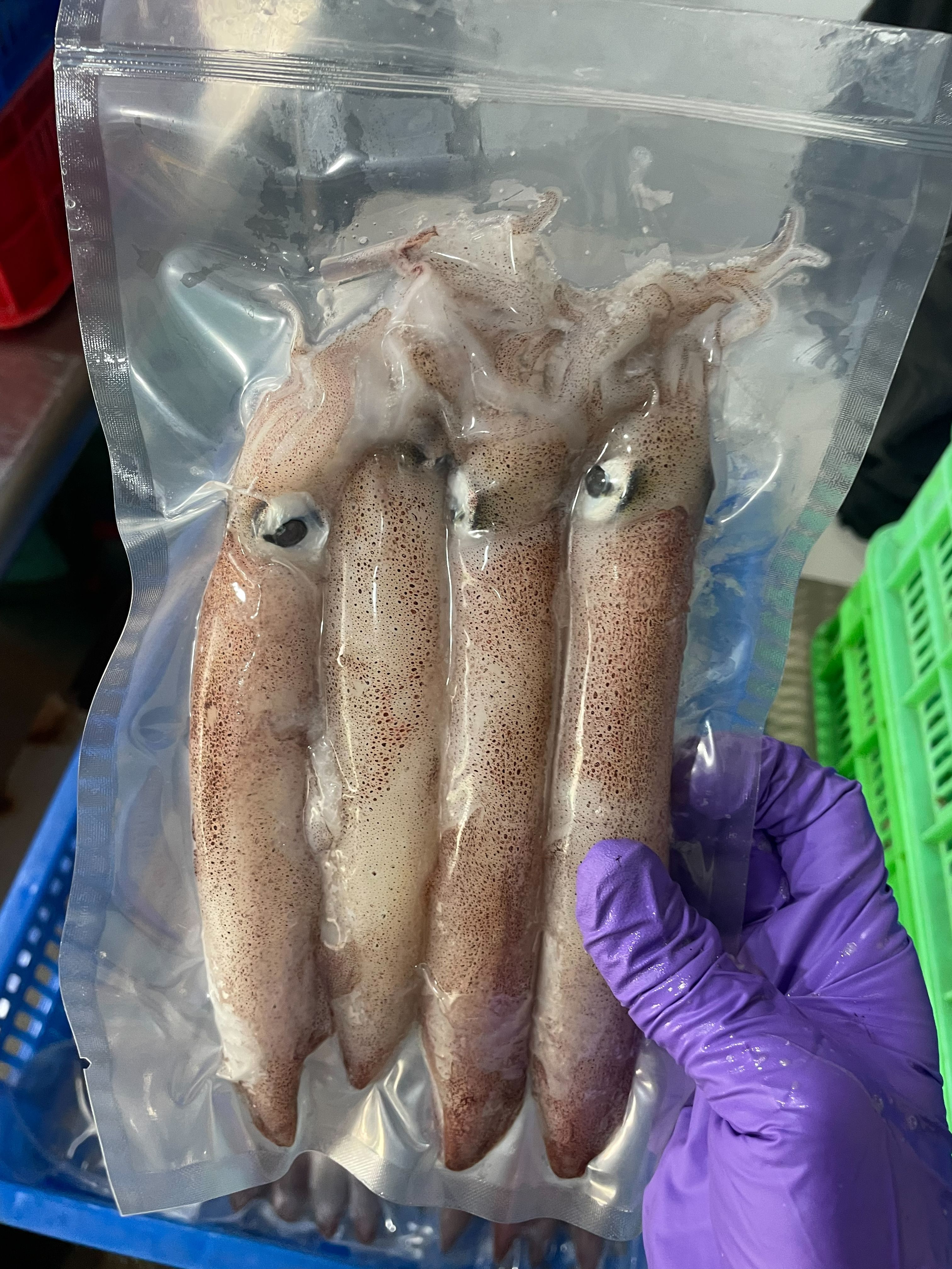澎湖4號小卷