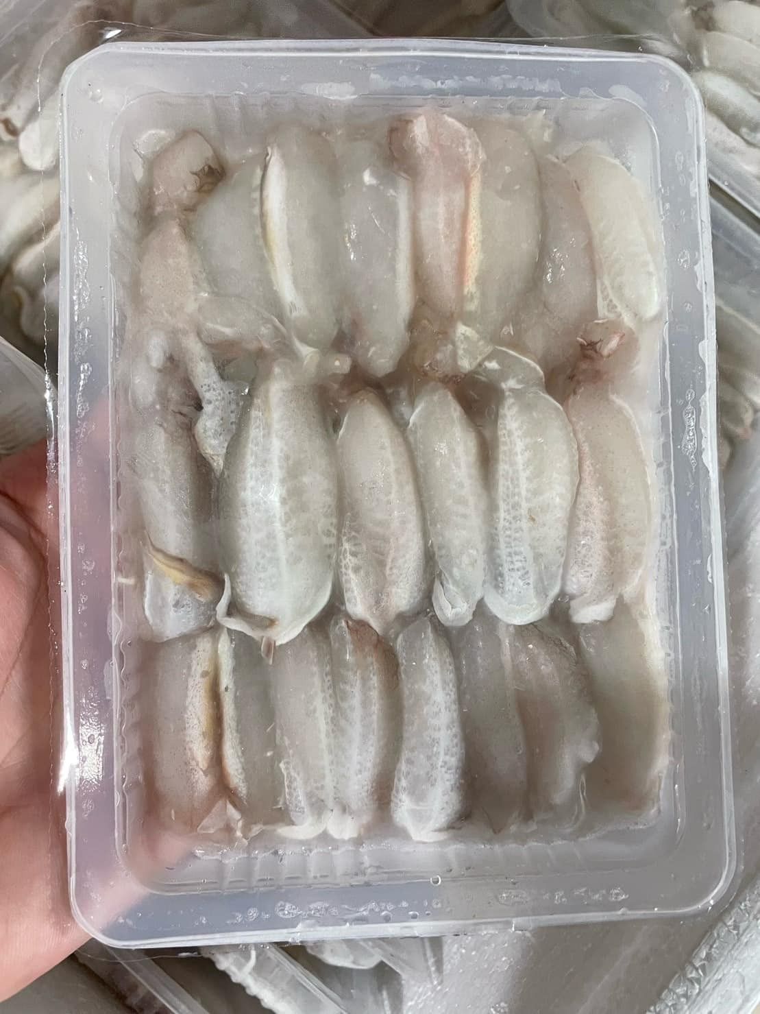 澎湖扁蟹蟹腳肉
