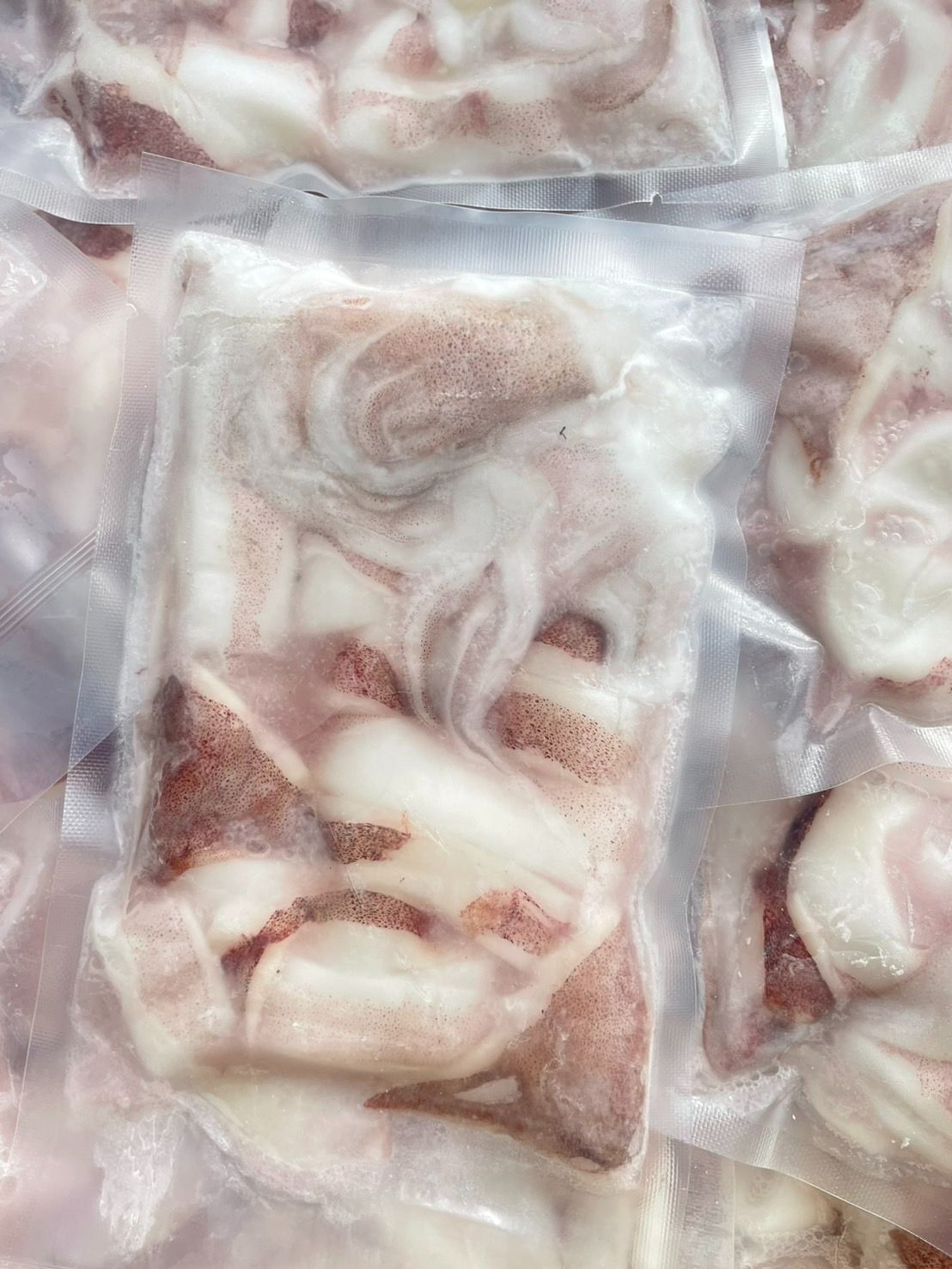 澎湖中卷切圈