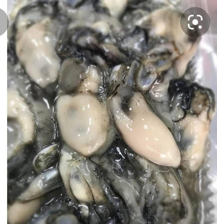 澎湖野生蚵肉