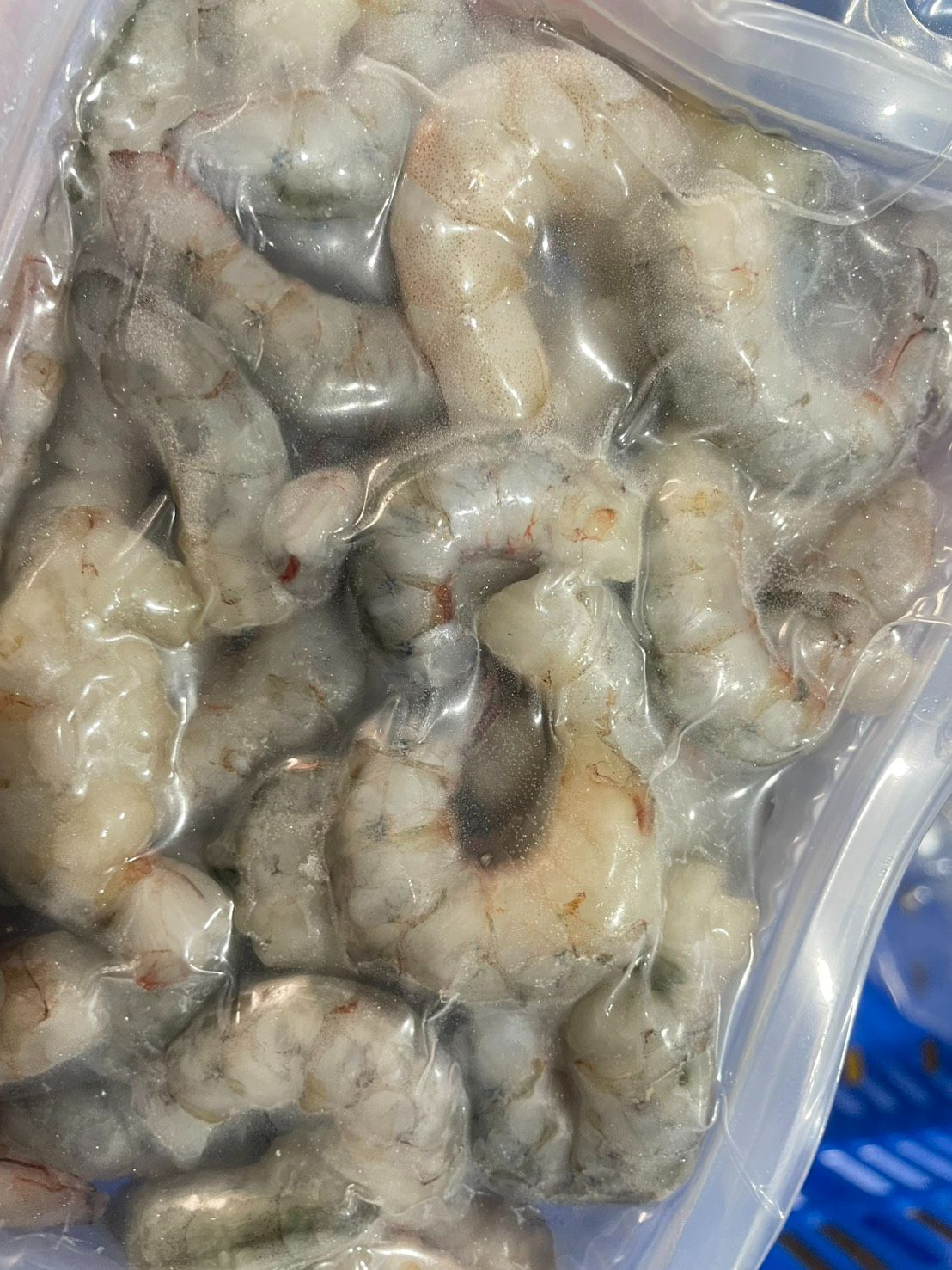 澎湖野生劍生蝦仁