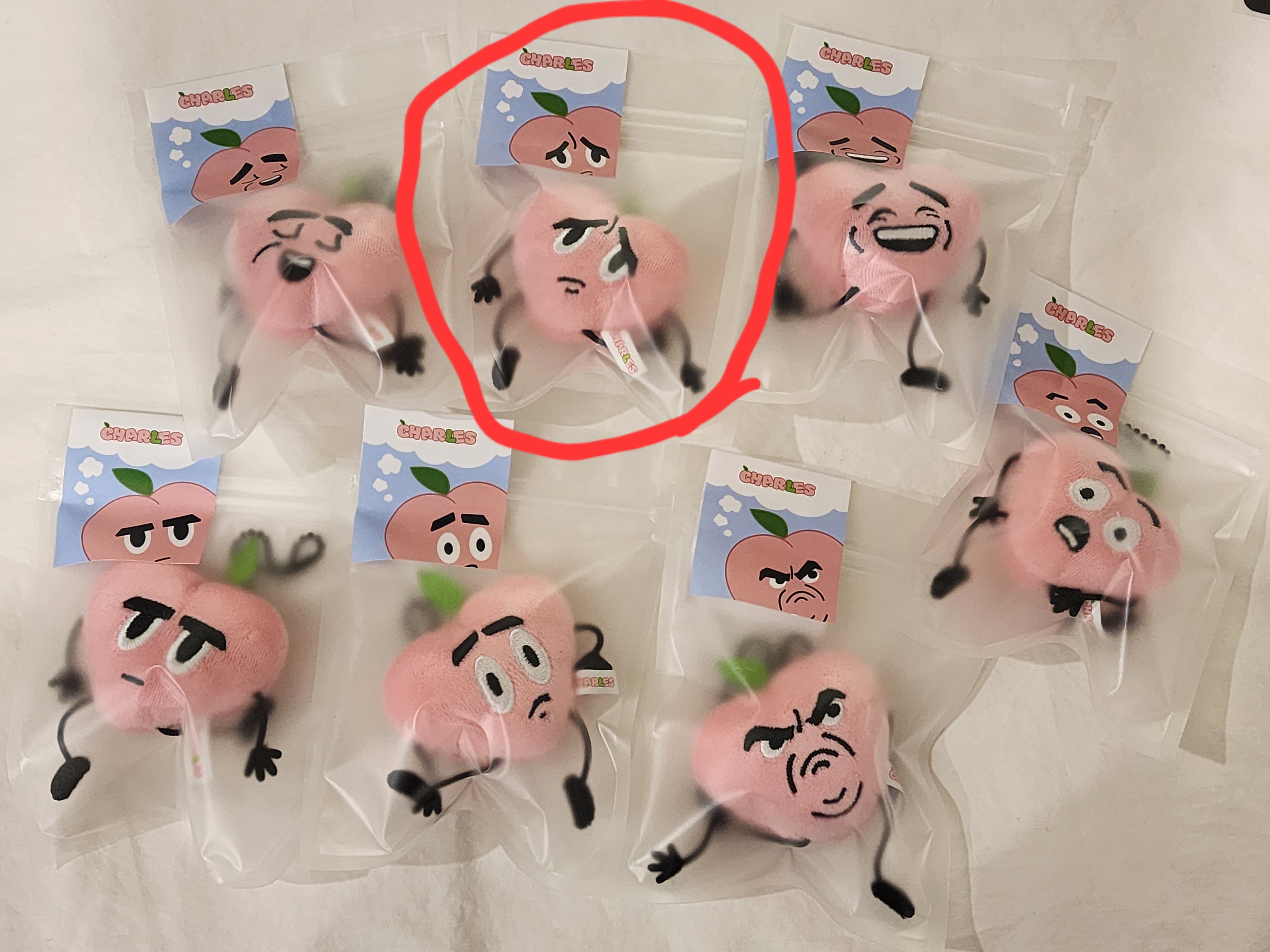 ZZIRANG-E ＆ CHARLES POP-UP STORE