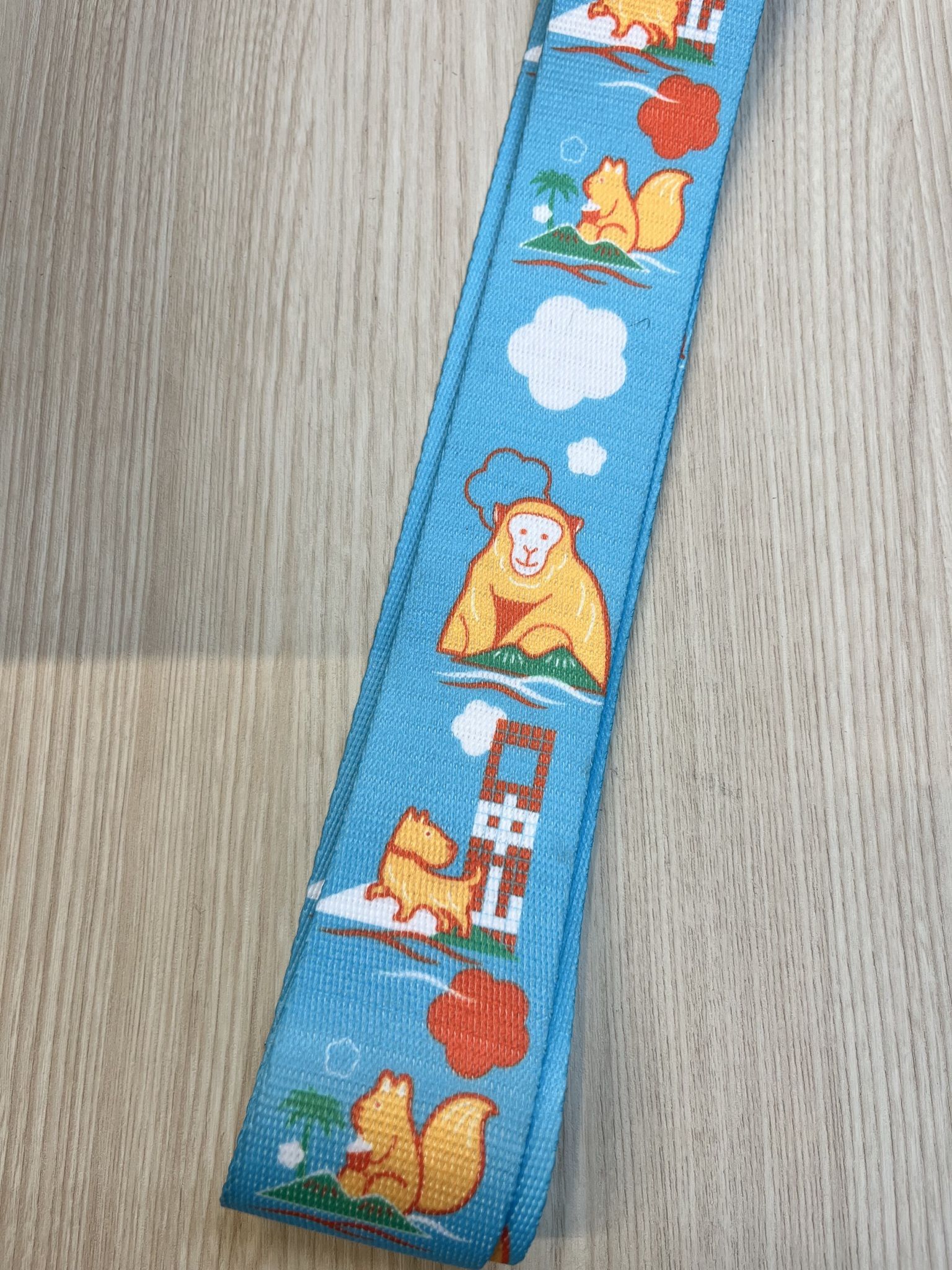 行李束帶