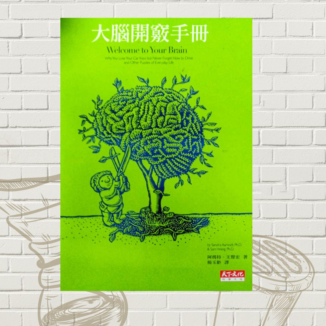 大腦開發手冊