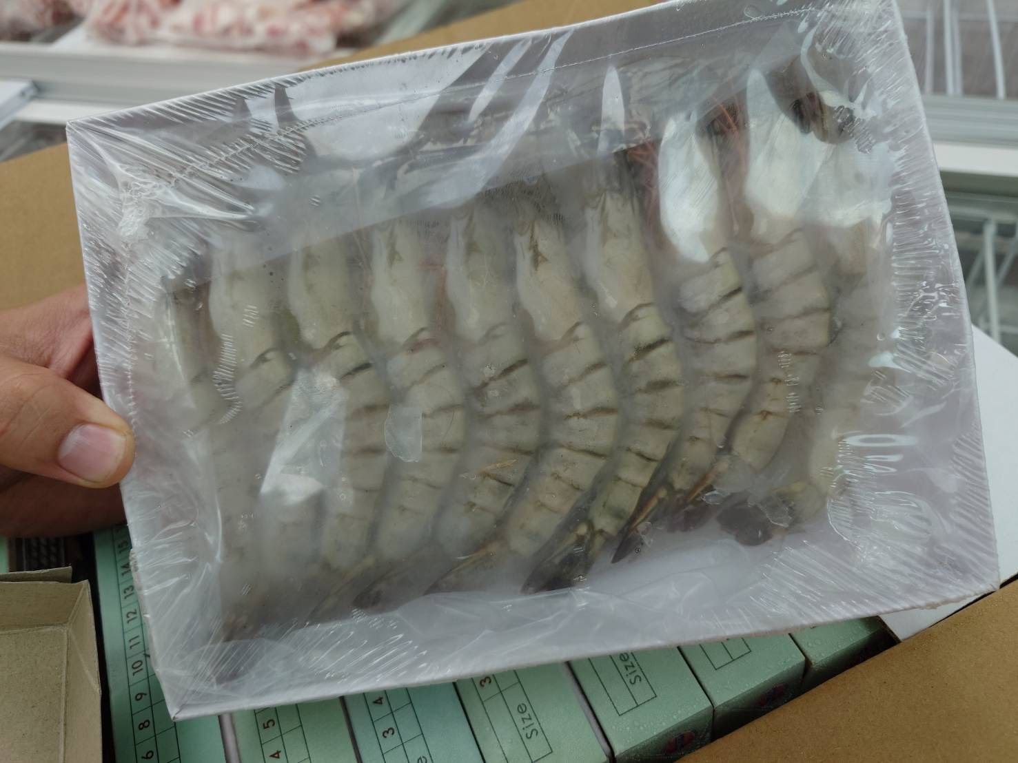 一品閣10P草蝦