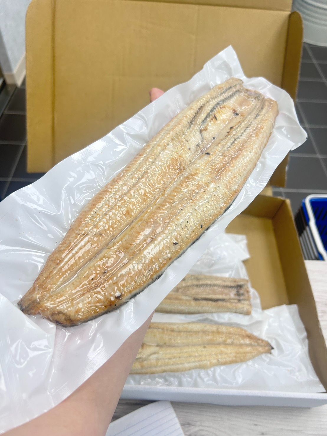 日式白燒鰻 200-300g