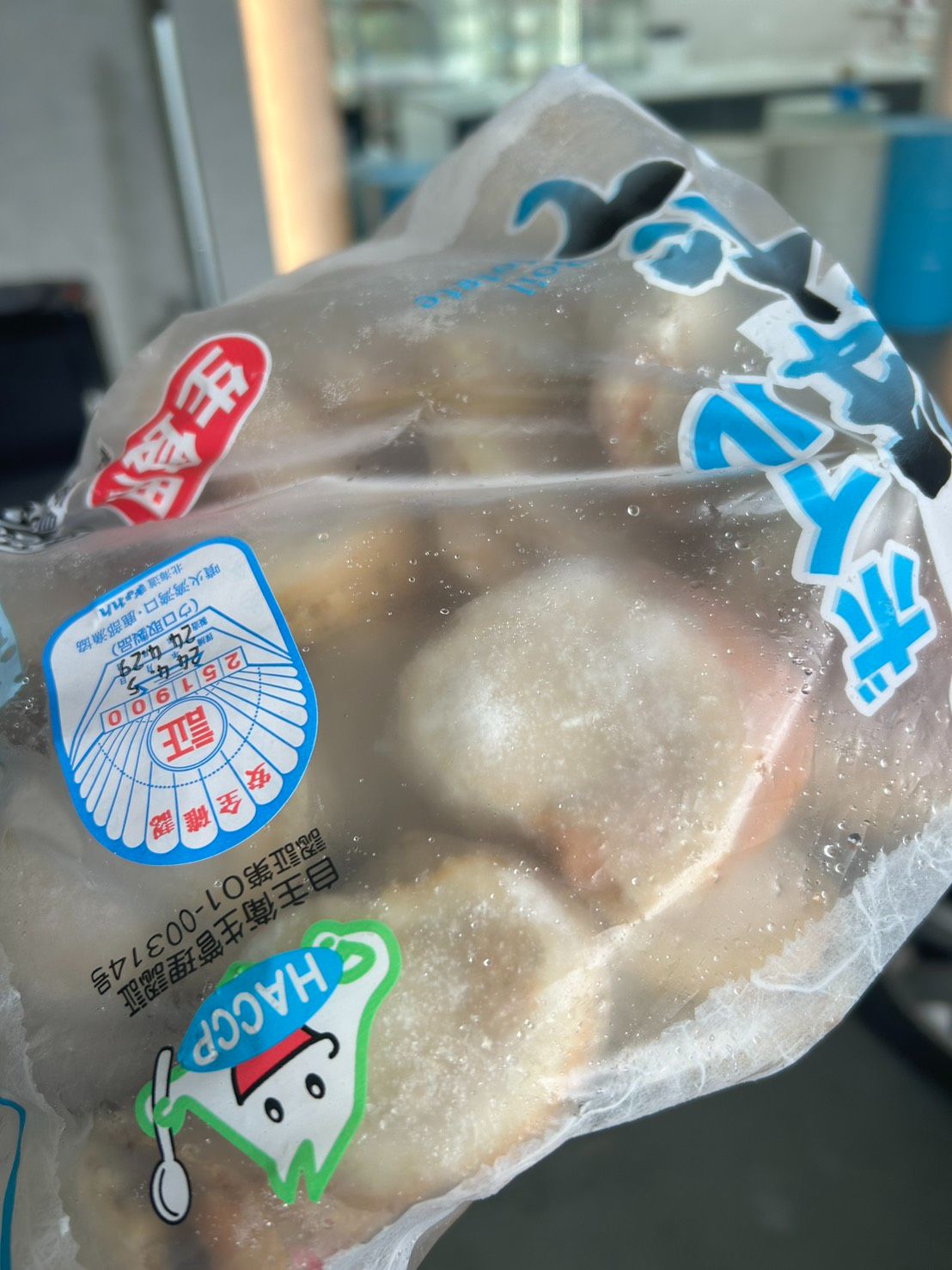 L號帶卵帆立貝