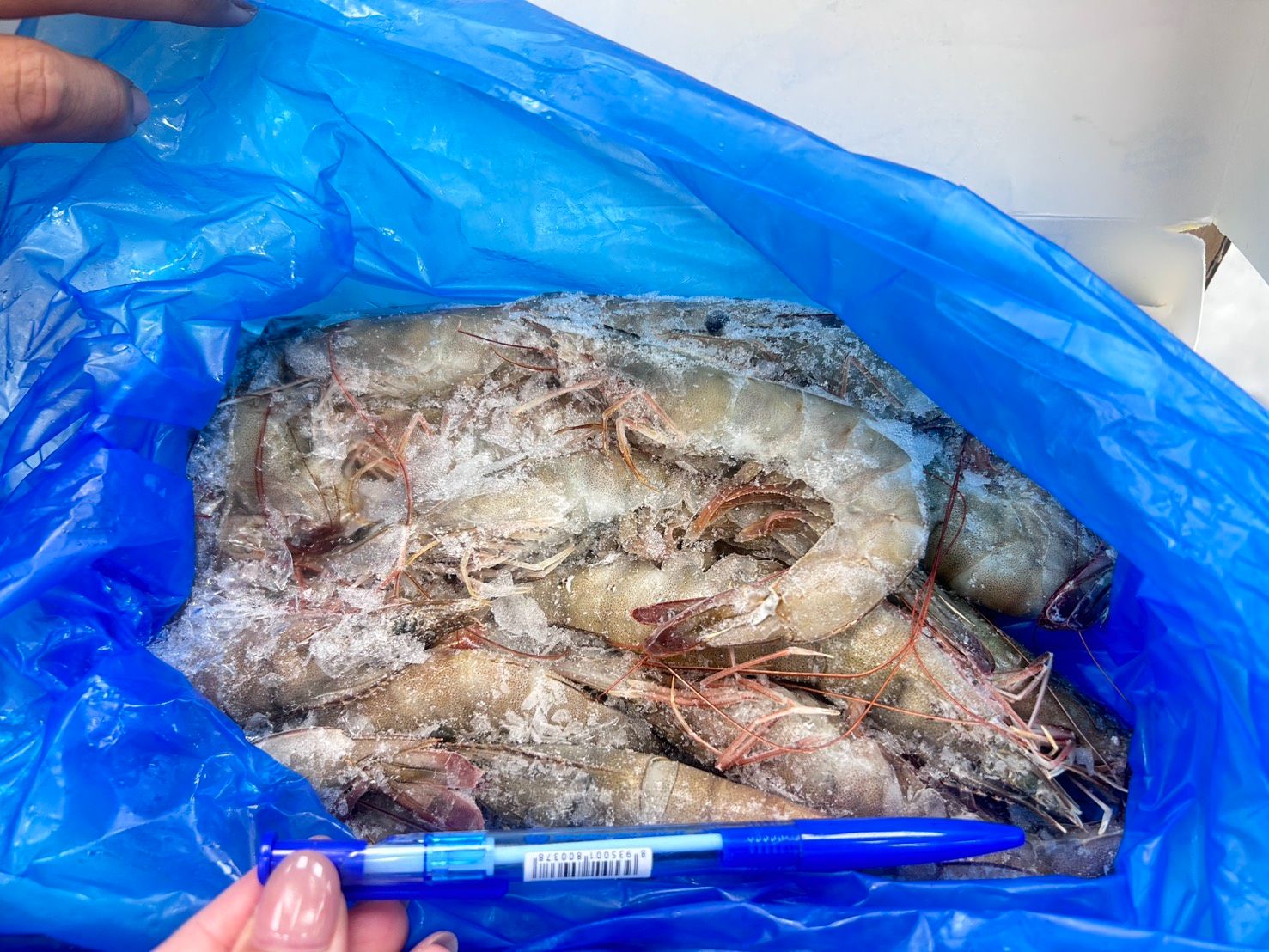 厄瓜多白蝦23規格 每盒800g+-10%