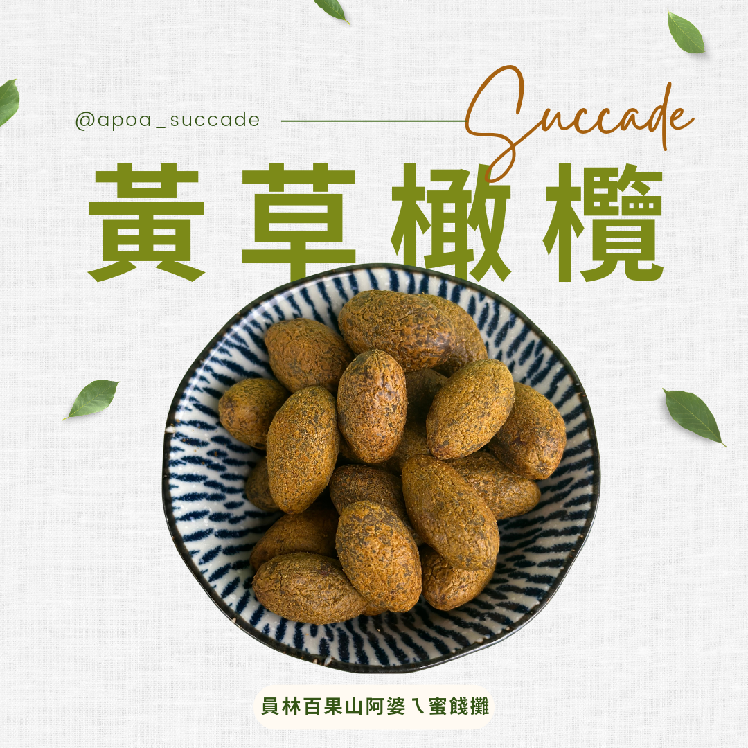 黃草橄欖