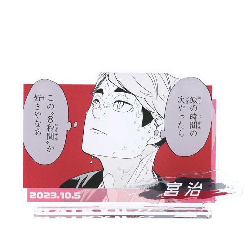 排球生日立牌