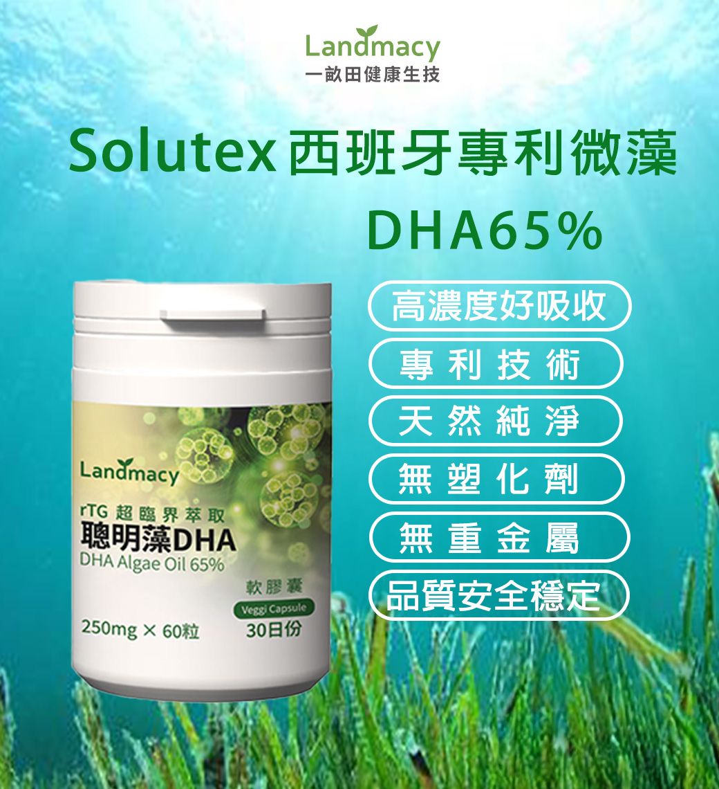 聰明藻DHA 250mg*60顆