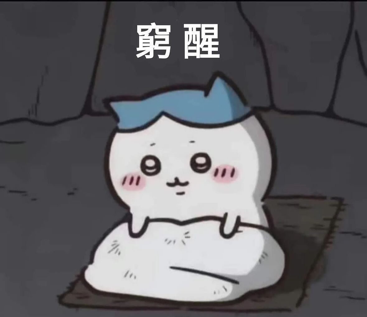 小八貓專區