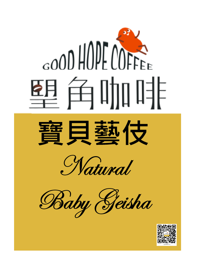 日曬寶貝藝妓咖啡豆（淺焙）