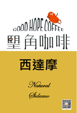 西達摩日曬  中深焙咖啡豆