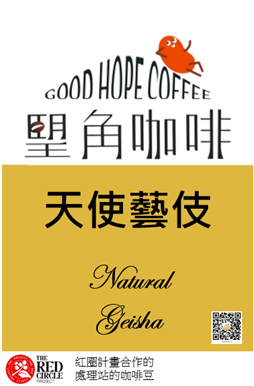 日曬天使藝伎 咖啡豆 （淺焙）