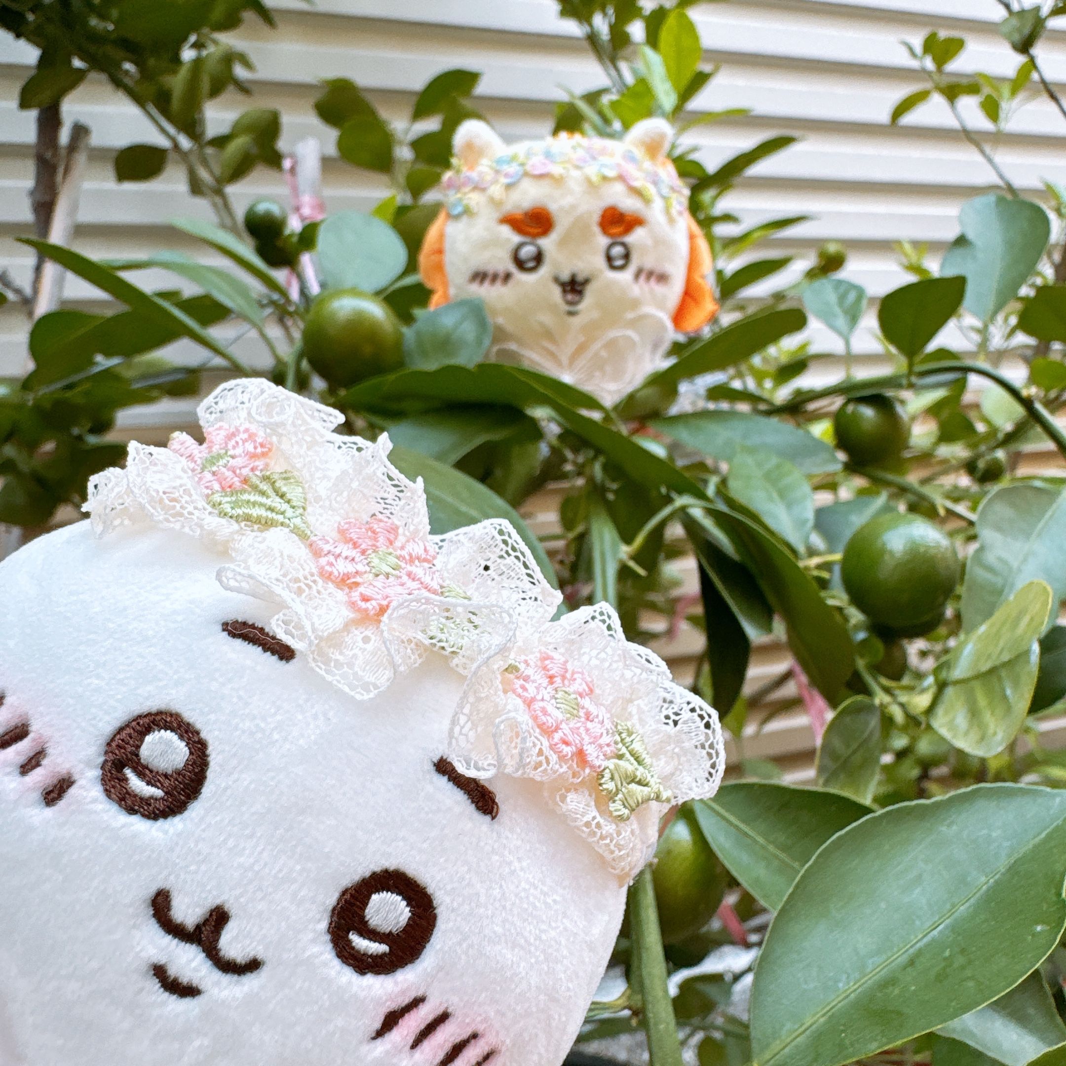 蕾絲頭帶♥10公分娃用