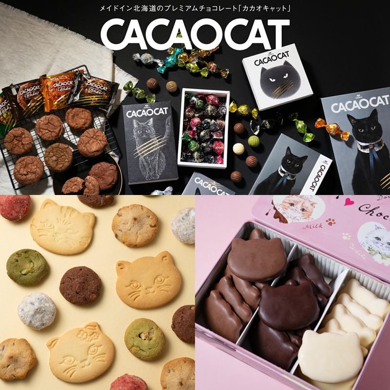 小怪獸日本代購🌸預購 CACAOCAT 貓咪巧克力 北海道 貓咪餅乾 軟心巧克力