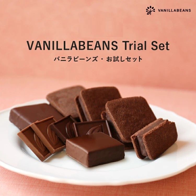 小怪獸日本代購🌸預購 VANILLABEANS 橫濱巧克力 巧克力餅乾 季節限定 禮盒 夾心餅乾 巧克力 情人節 送禮