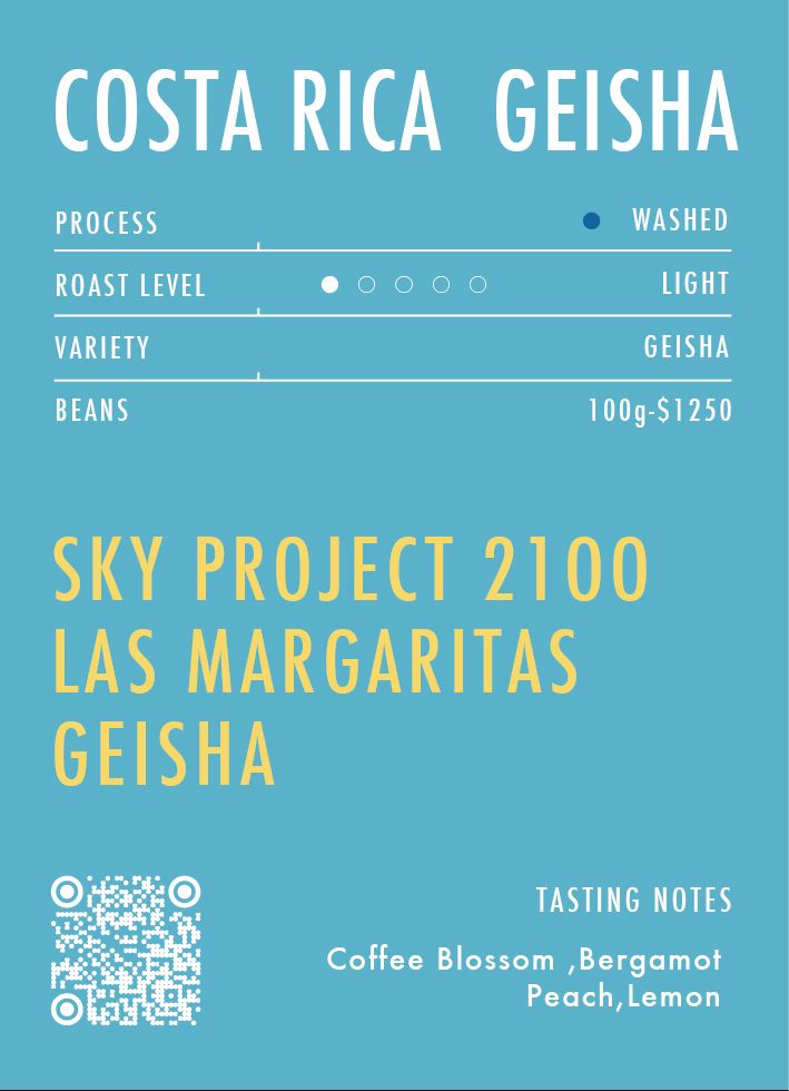 低庫存｜哥斯大黎加 天空計劃 LAS MARGARITAS 藝伎 ｜珍珠水洗｜淺焙｜單品咖啡
