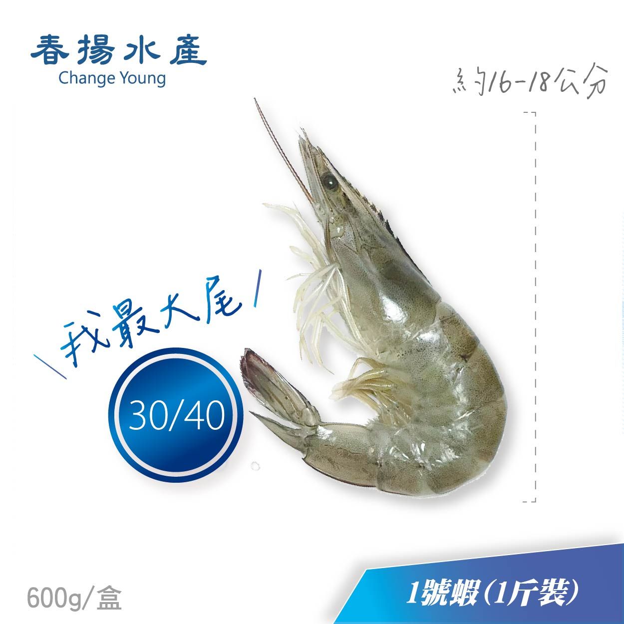 ［產地直銷］嘉義東石│急凍│白蝦│蝦子│600克/1斤（盒裝）