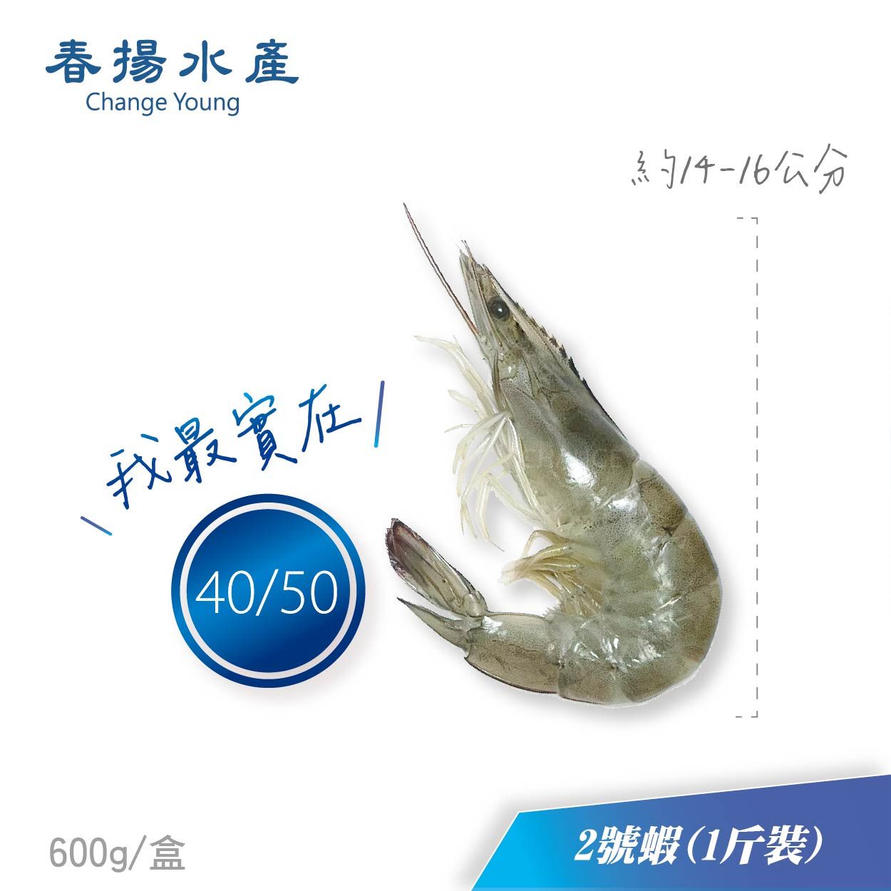 ［產地直銷］嘉義東石│急凍│白蝦│蝦子│600克/1斤（盒裝）2號蝦