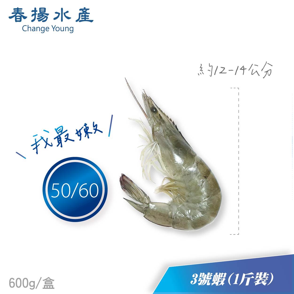 ［產地直銷］嘉義東石│急凍│白蝦│蝦子│600克/1斤（盒裝）3號蝦