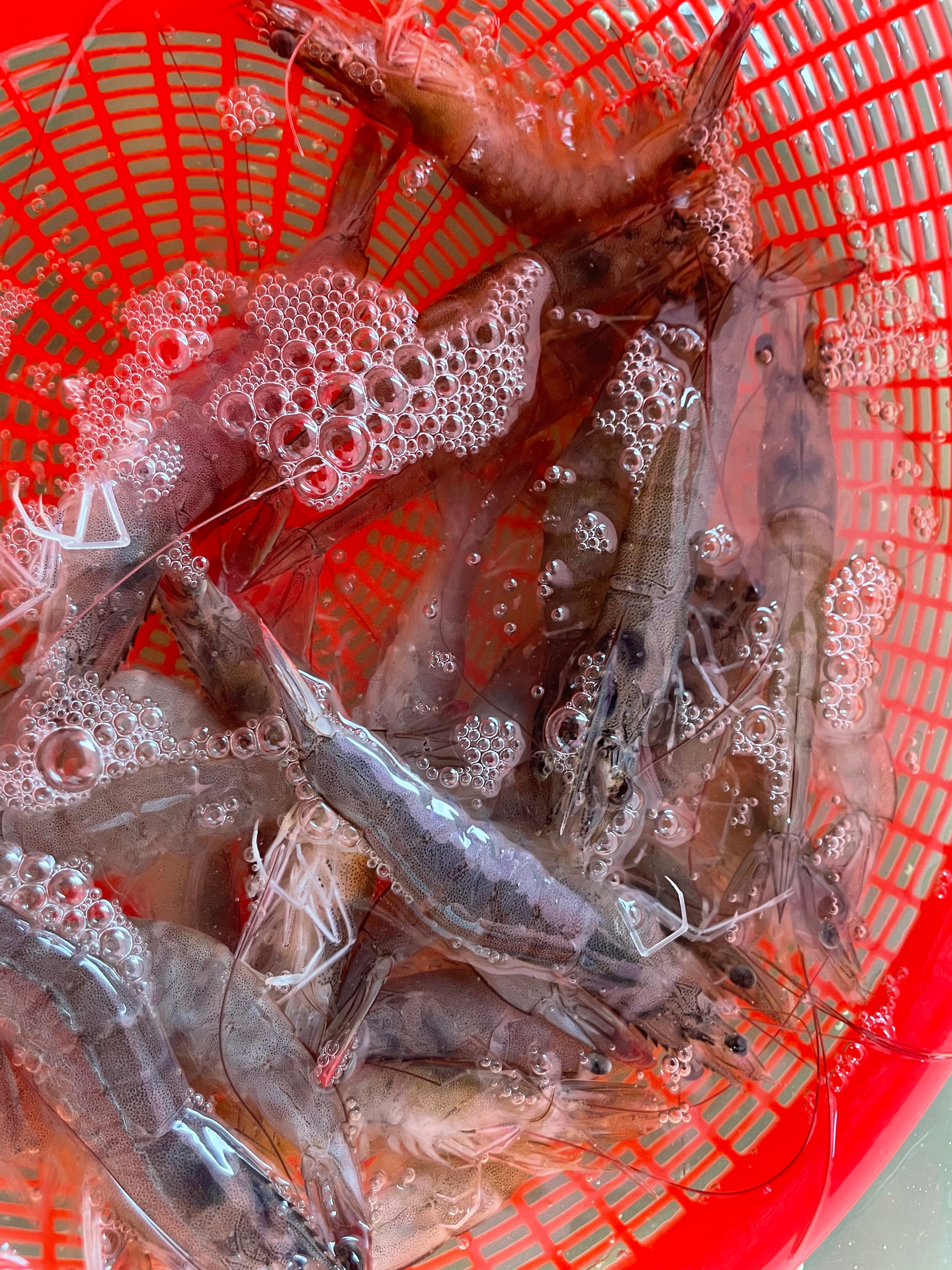 客訂客製化商品