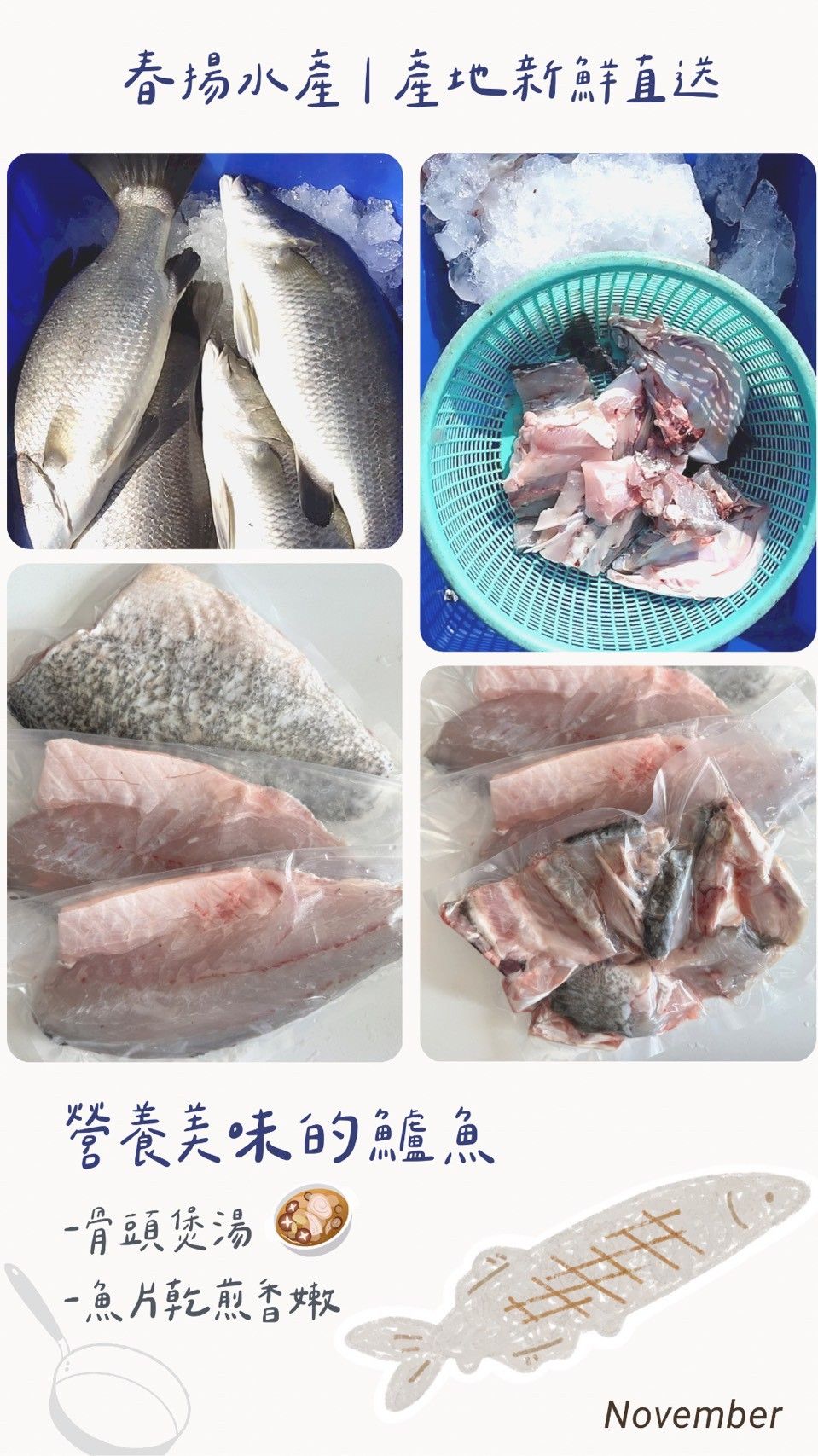 1整尾的鱸魚（2片魚排+1份魚骨）