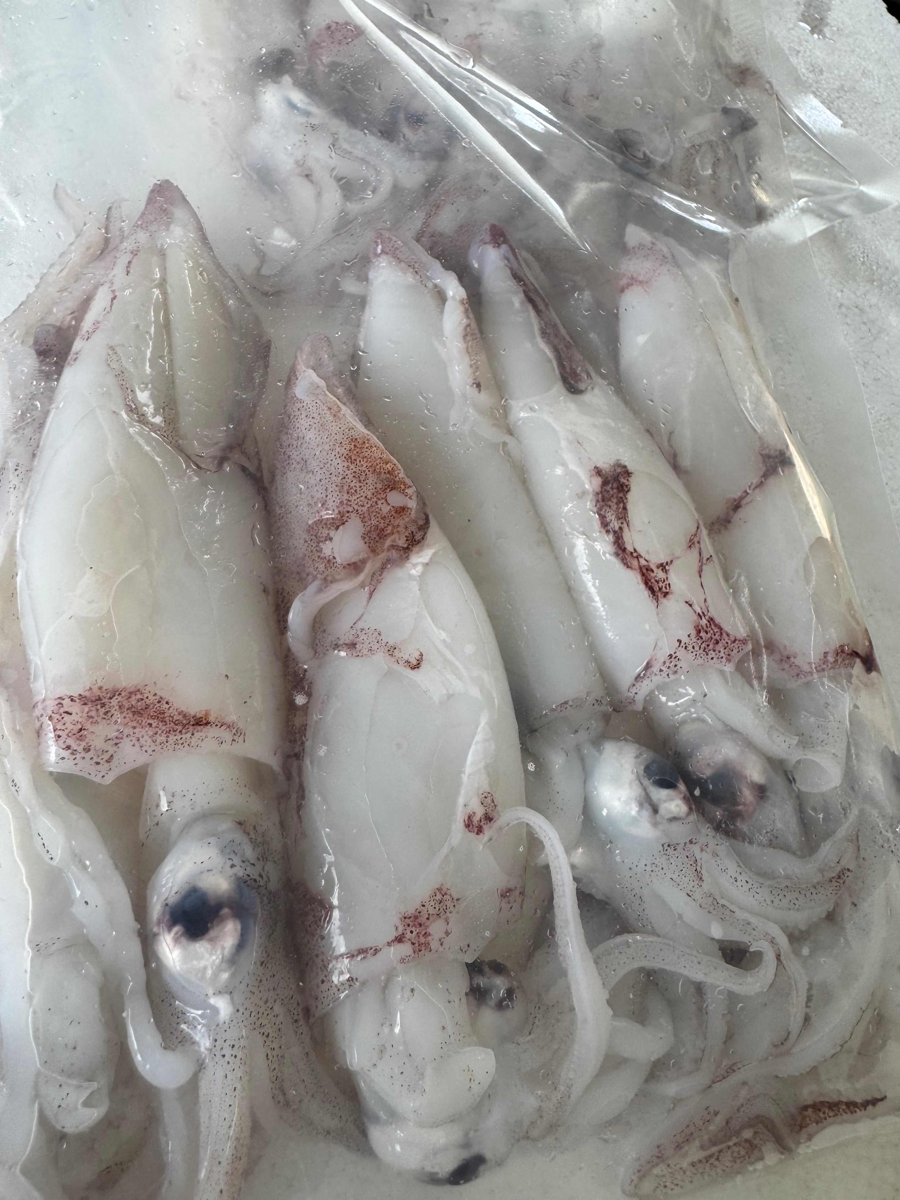 東石海鮮-季節限定-海撈小卷300g