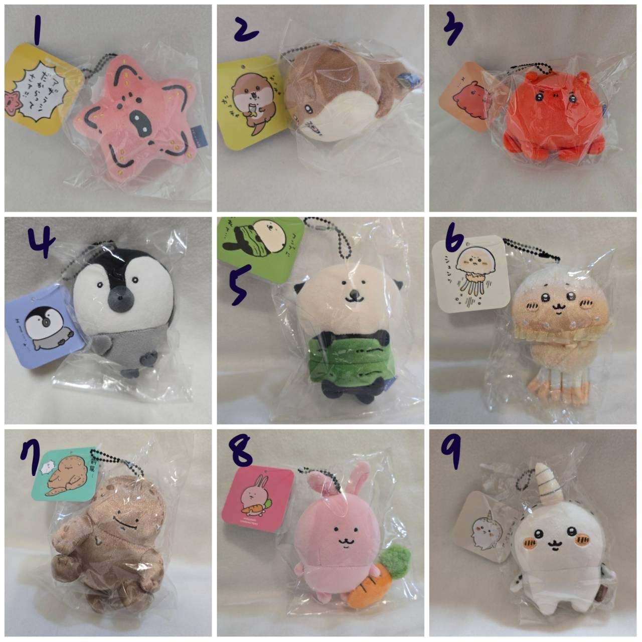 白熊區（點開有其他圖片可參考）