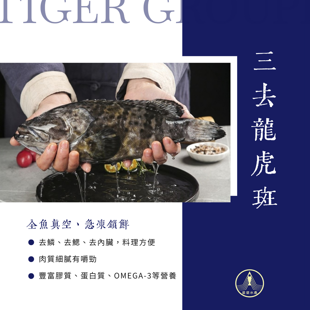 龍虎斑｜三去三清｜全魚條凍｜真空包裝