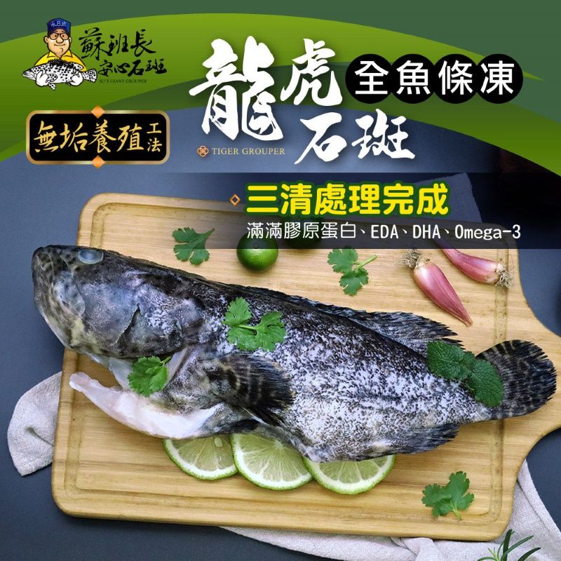 蘇班長安心石斑 龍虎斑條凍
