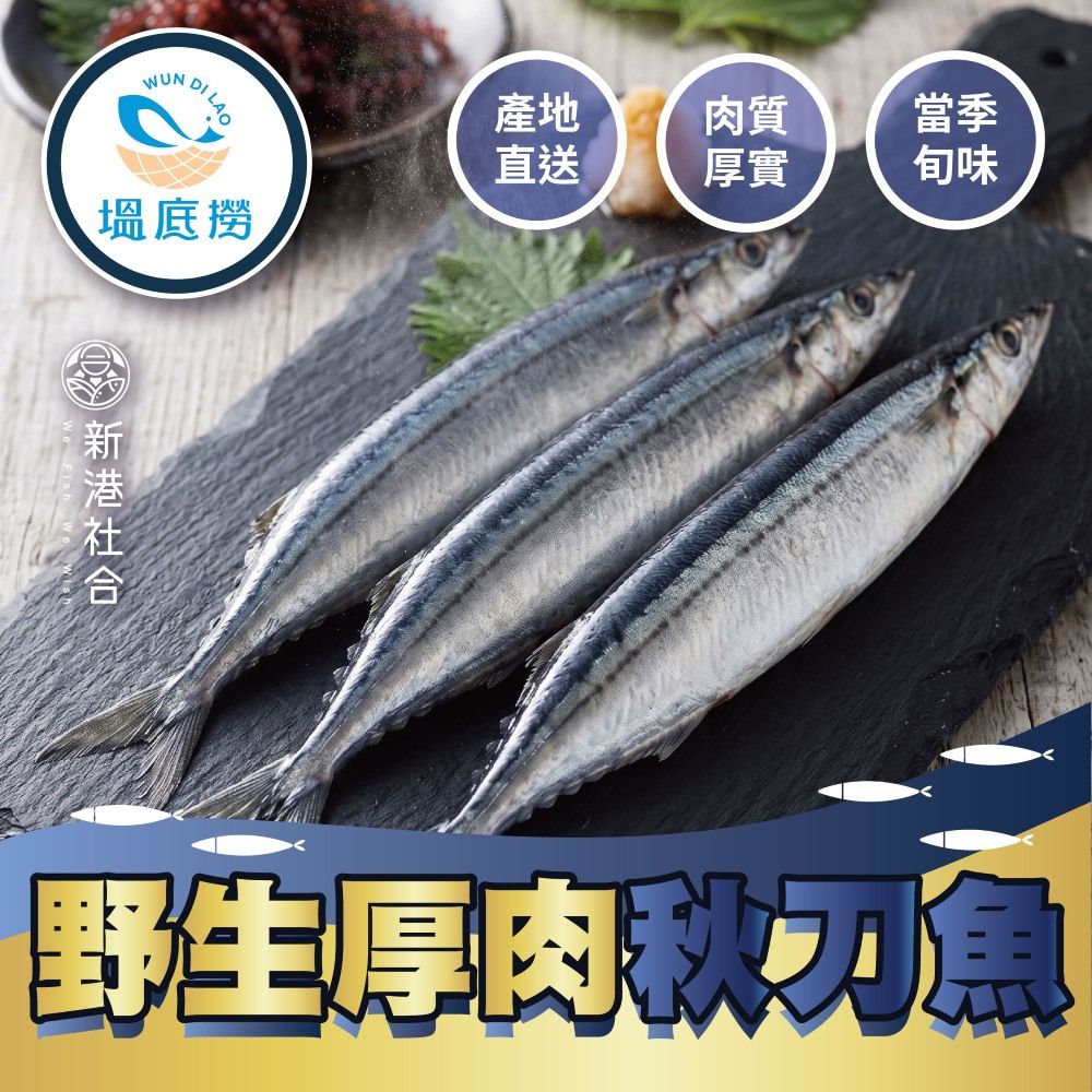 新港社合X塭底撈 野生厚肉秋刀魚 一包約2~3尾