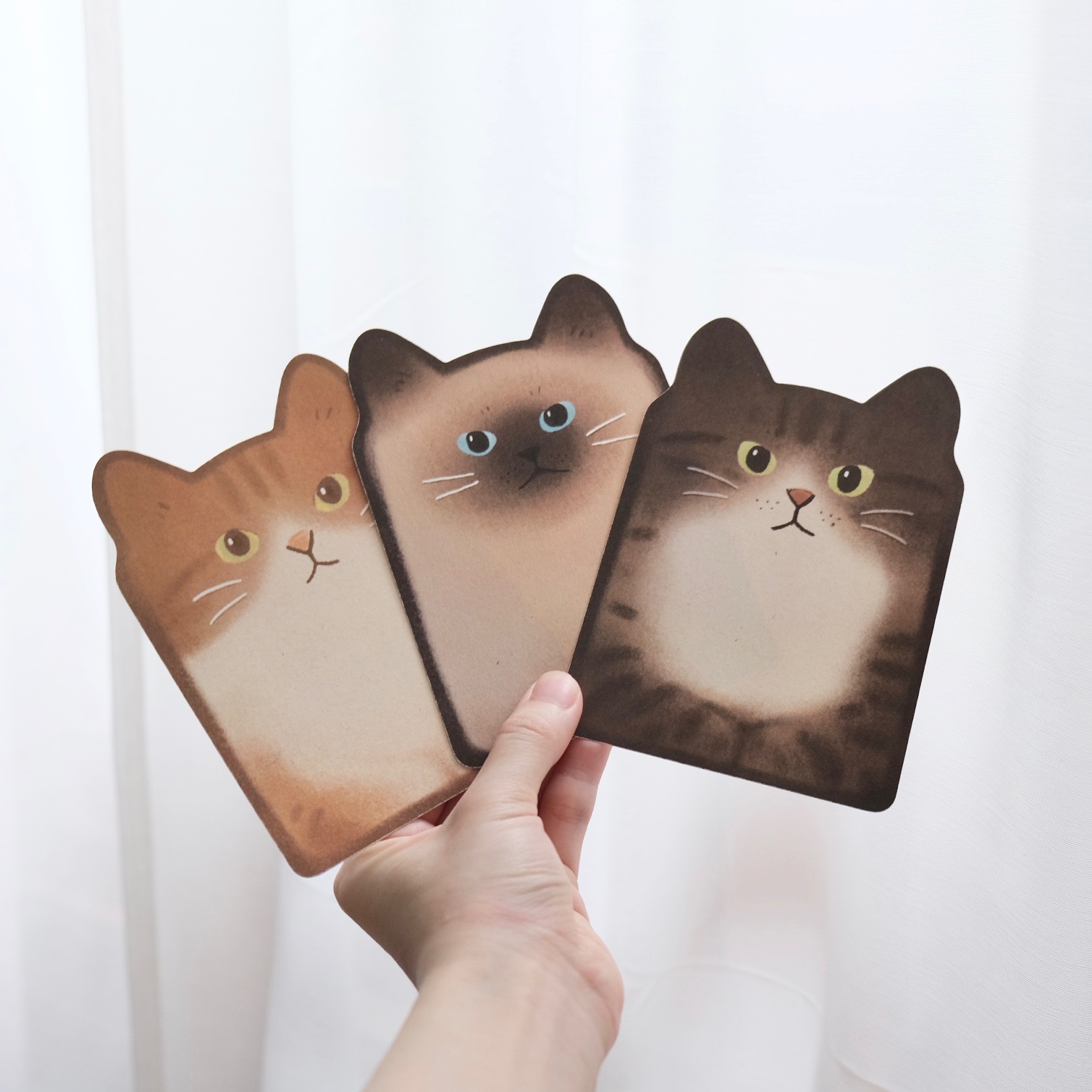 Yycat 貓吐司卡片