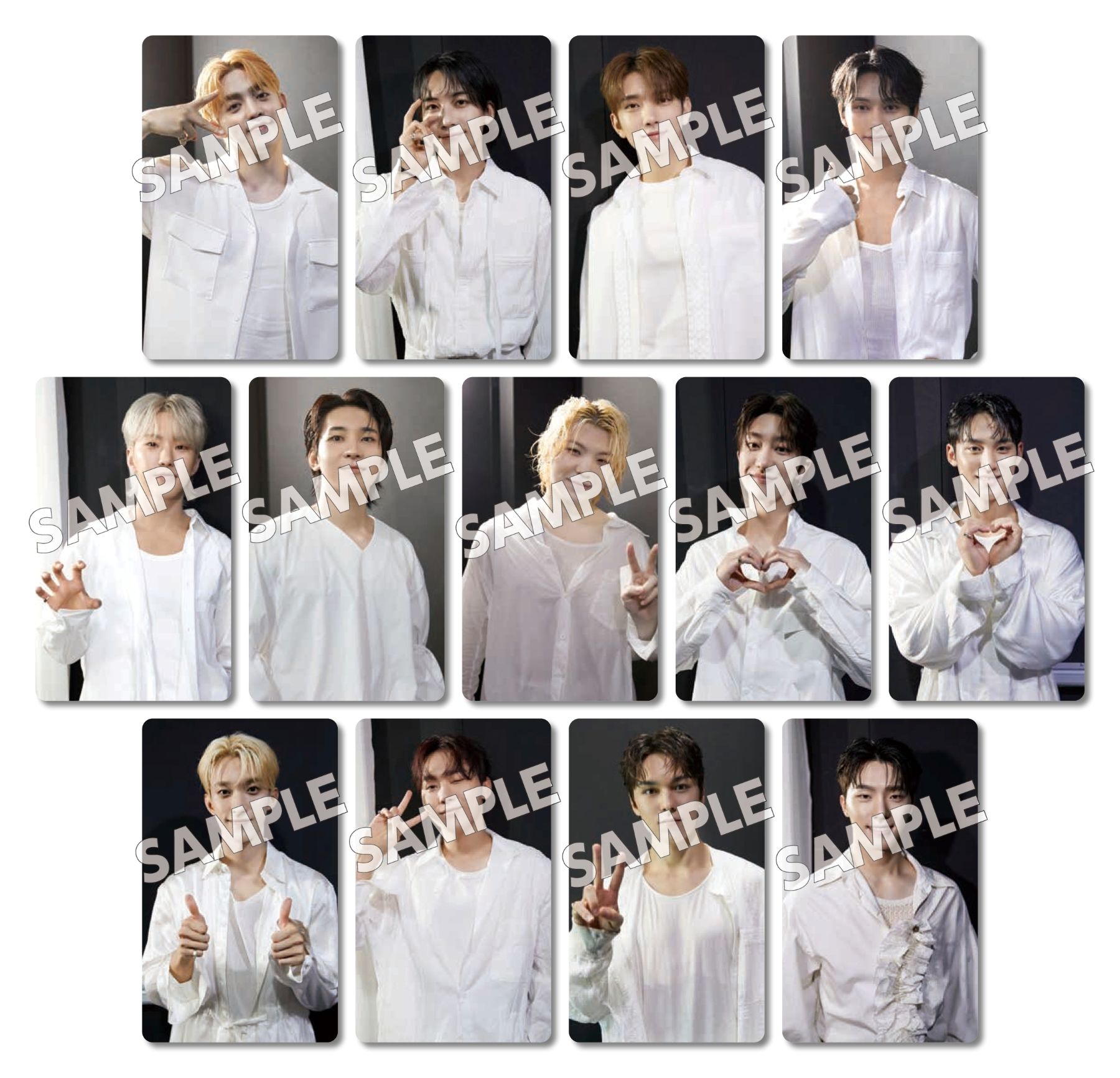 迷12 蔦屋 普通版 特典