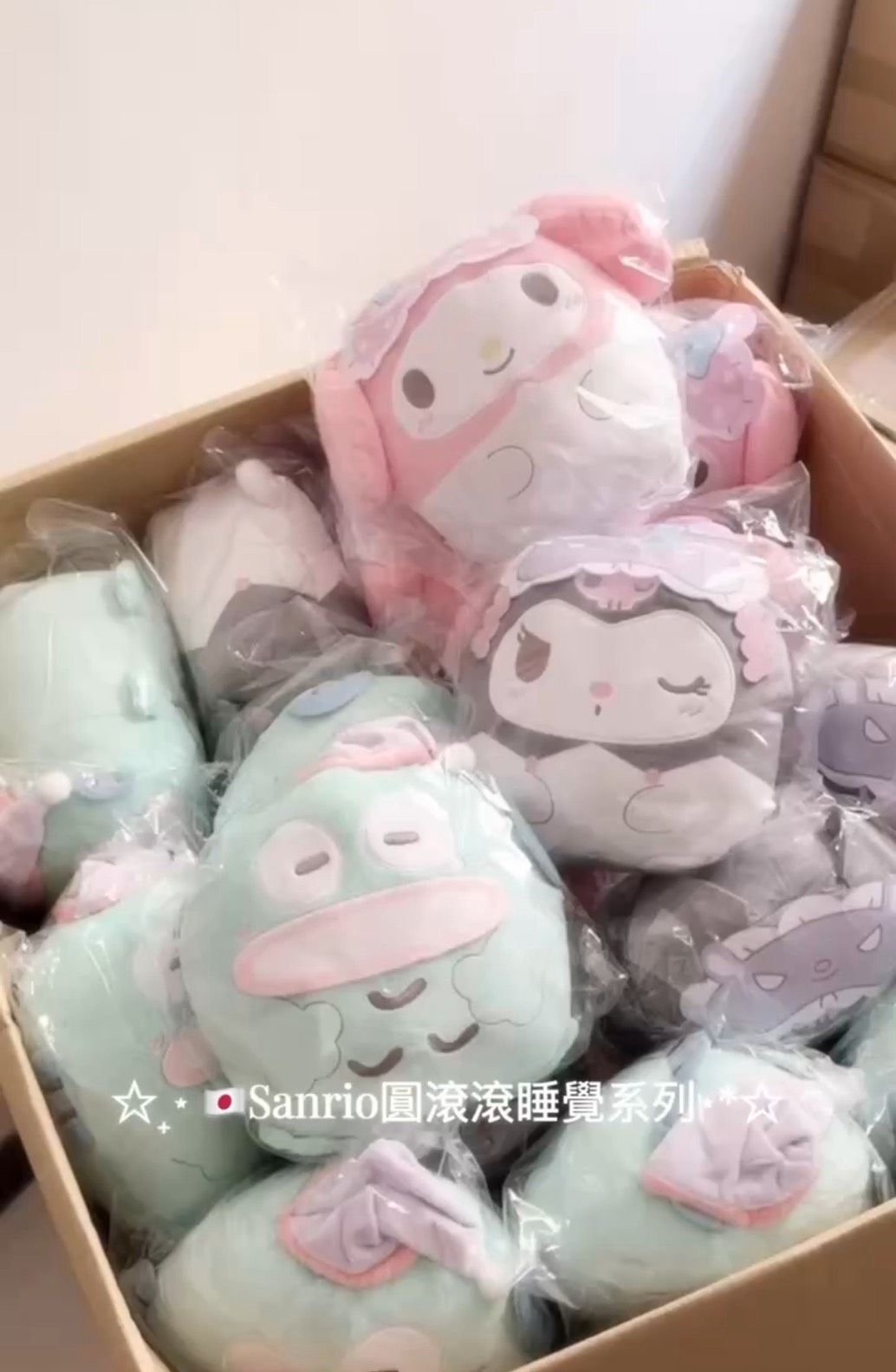 [現貨]日本三麗鷗圓滾滾/趴趴睡覺系列 超好抱很軟~~~