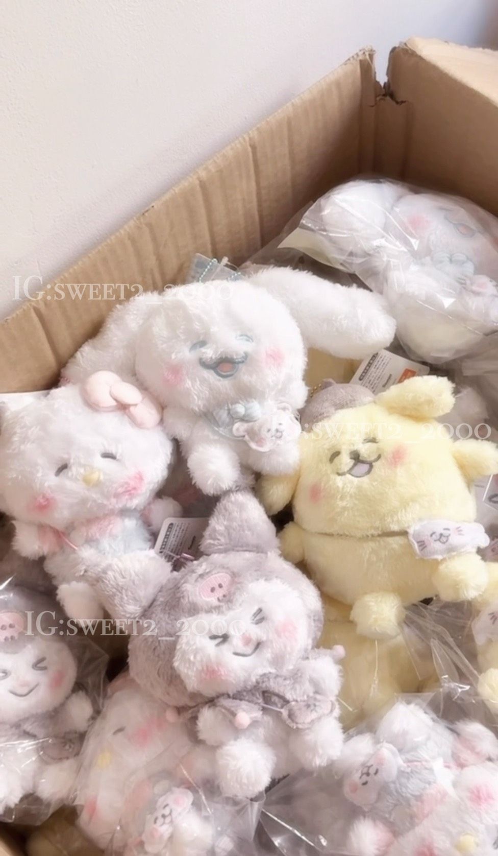 [現貨]日本howacoloclub  x sanrio 聯名款吊飾