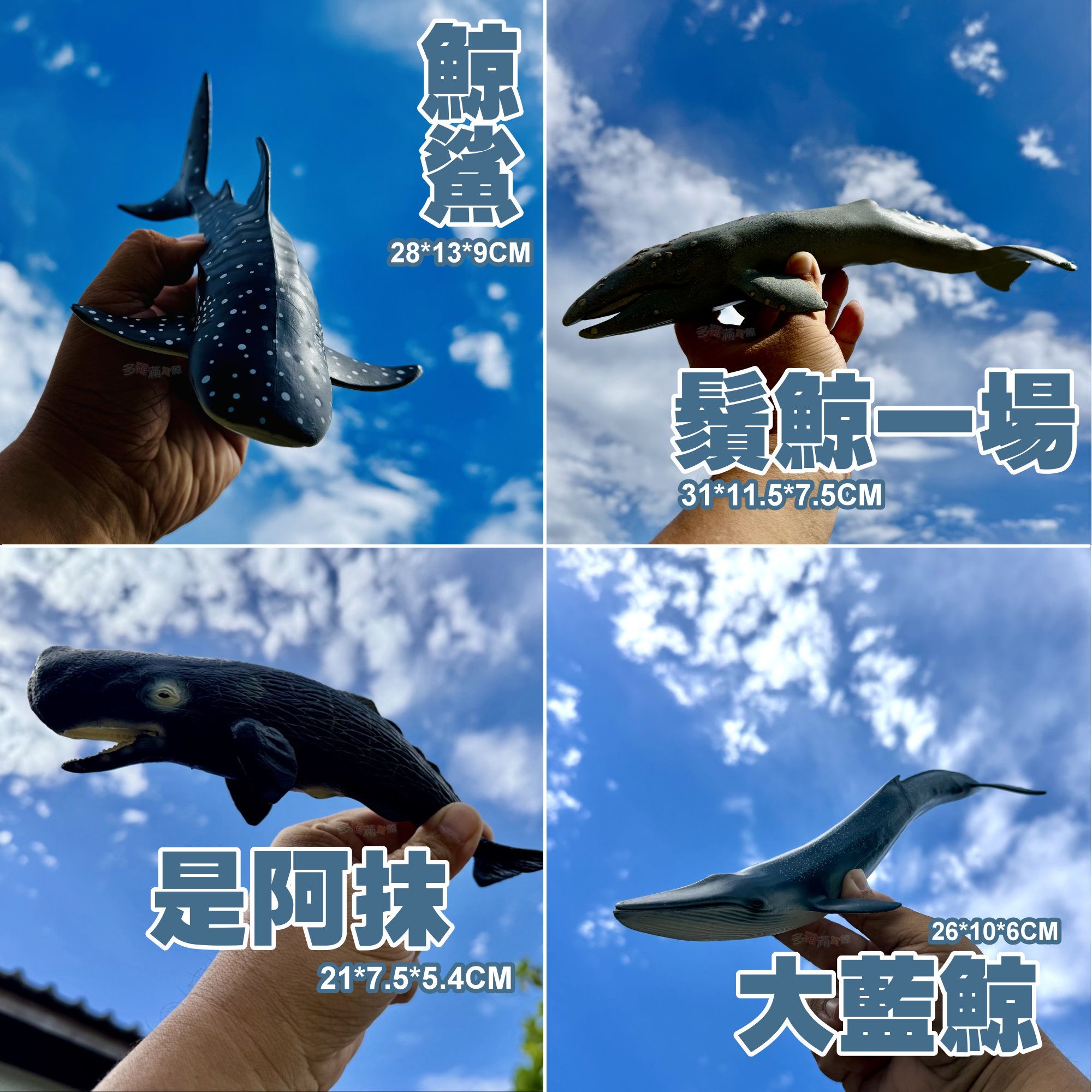 多多的工讀生們