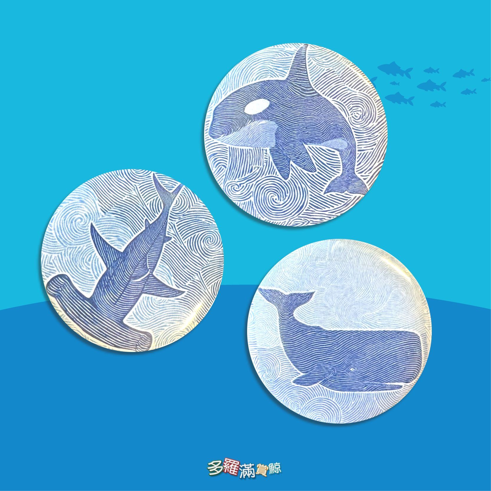 小編徽章