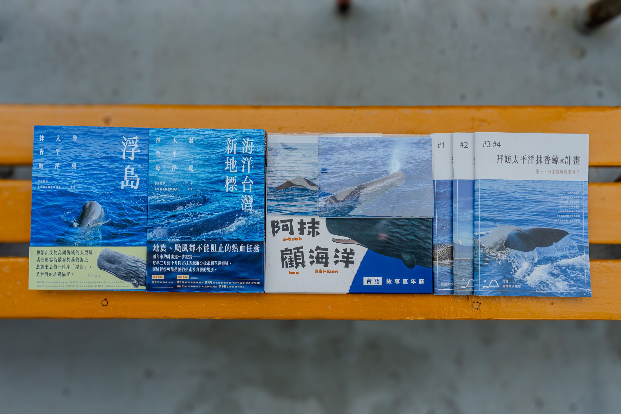 《海洋台灣新地標：發現太平洋抹香鯨》+《浮島：發現太平洋抹香鯨》