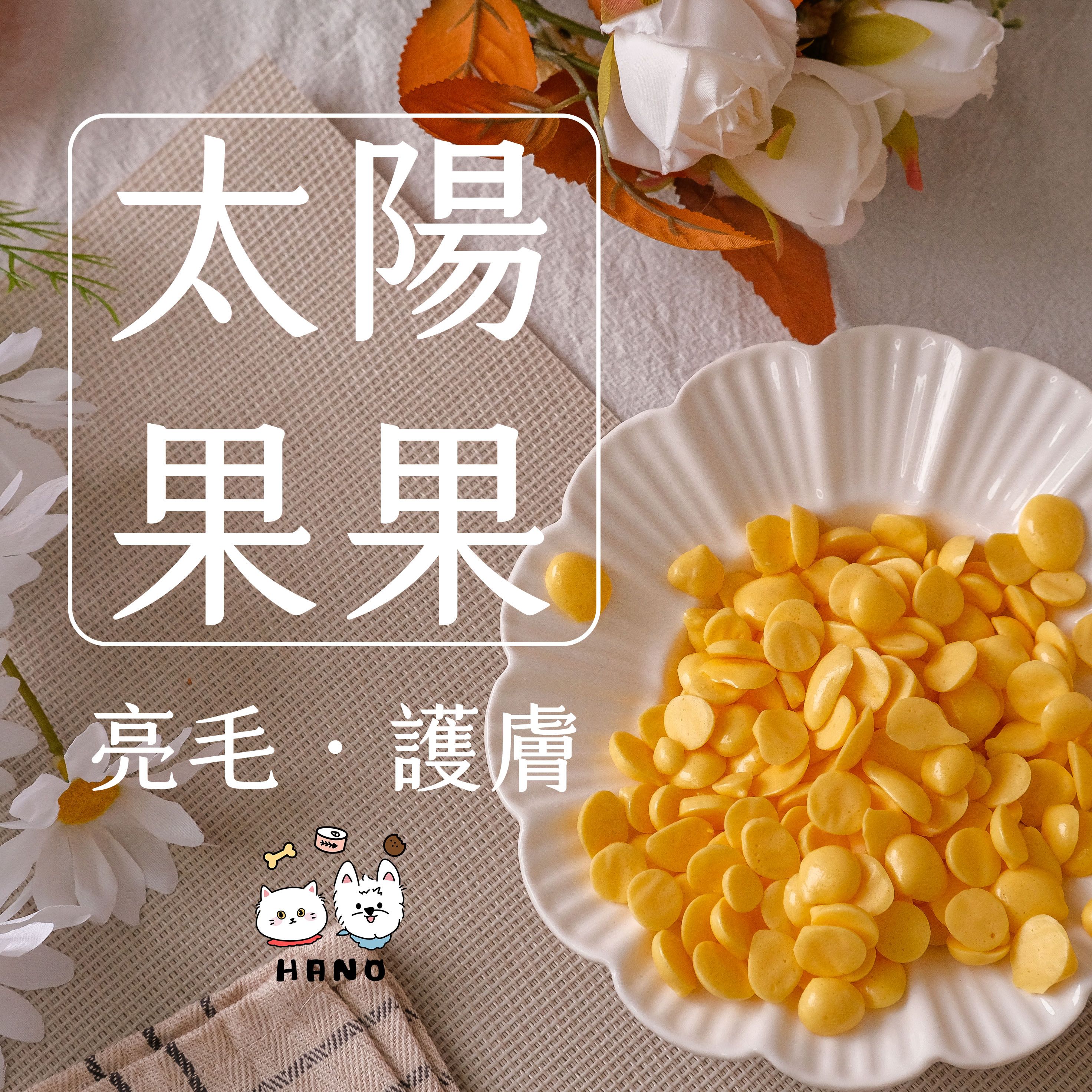 🌟台灣現貨xHANO🌟 太陽果果 雞肉口味 寵物零食 狗狗零食 貓咪零食 寵物餅乾 餅乾 零食 寵物食品 鮮食 手作