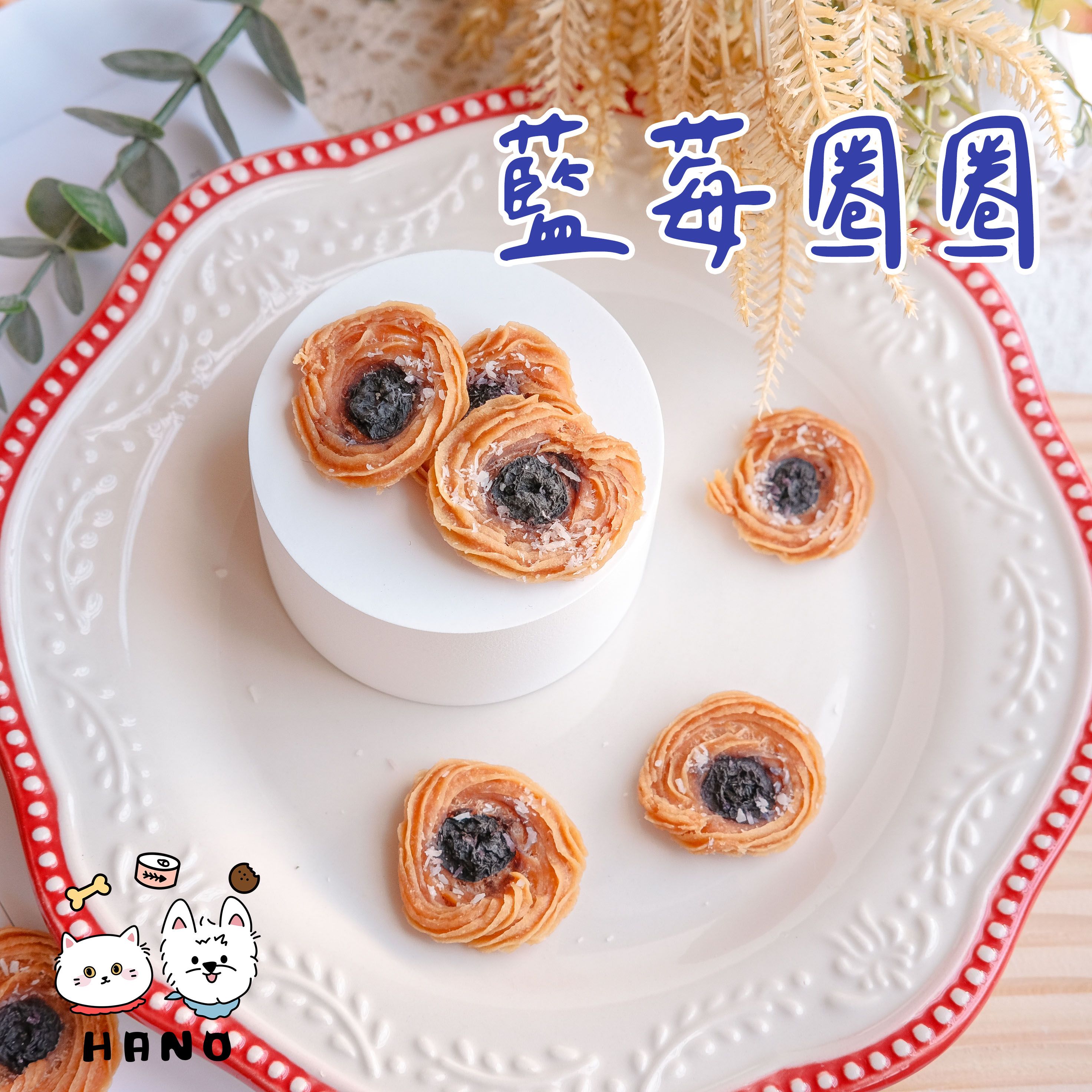 🌟HANO🌟 藍莓圈圈 寵物零食 狗狗零食 貓咪零食 手作零食 寵物烘焙零食 寵物餅乾 狗餅乾 造型餅乾
