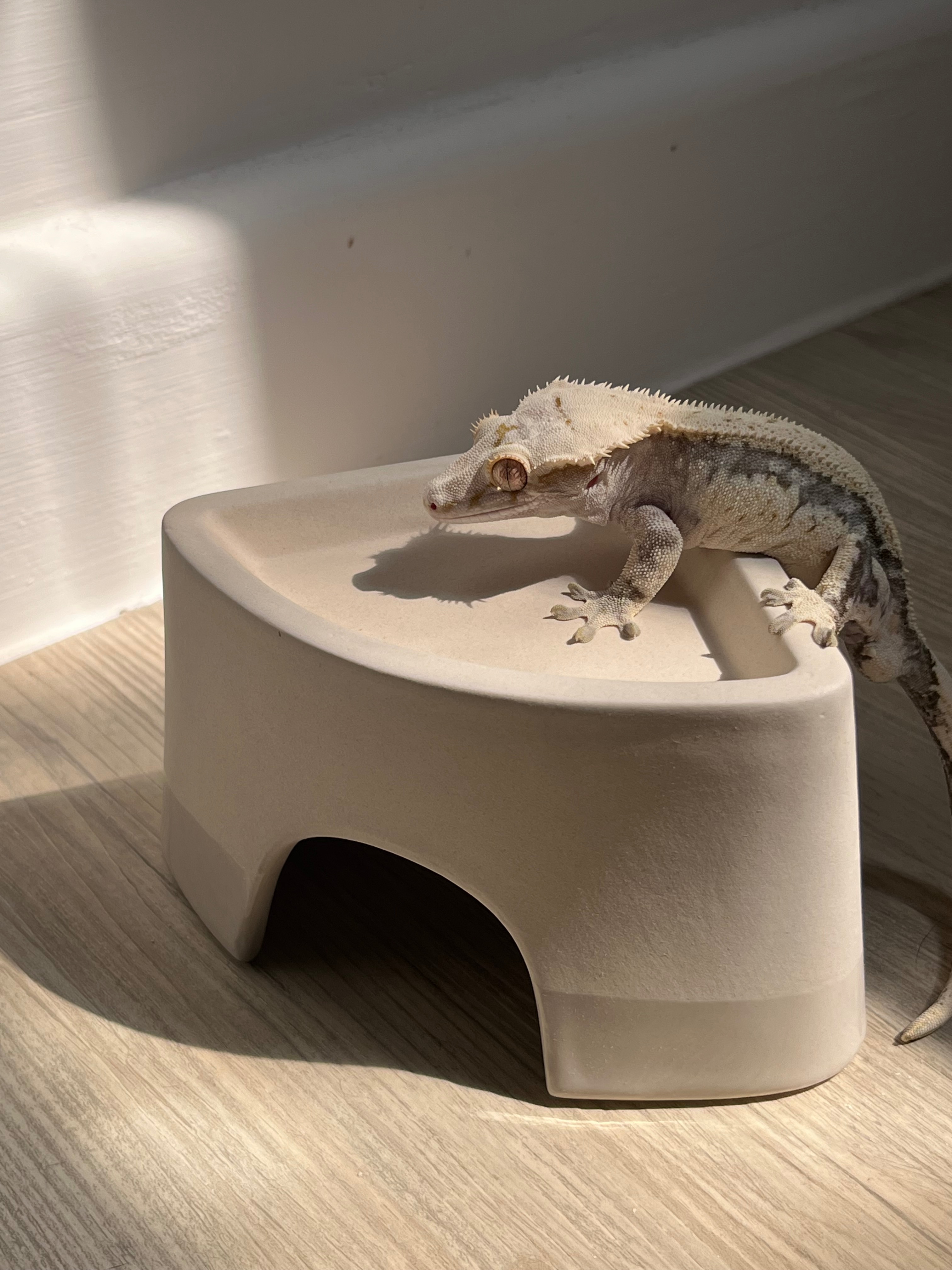 角落保濕白陶躲避屋
