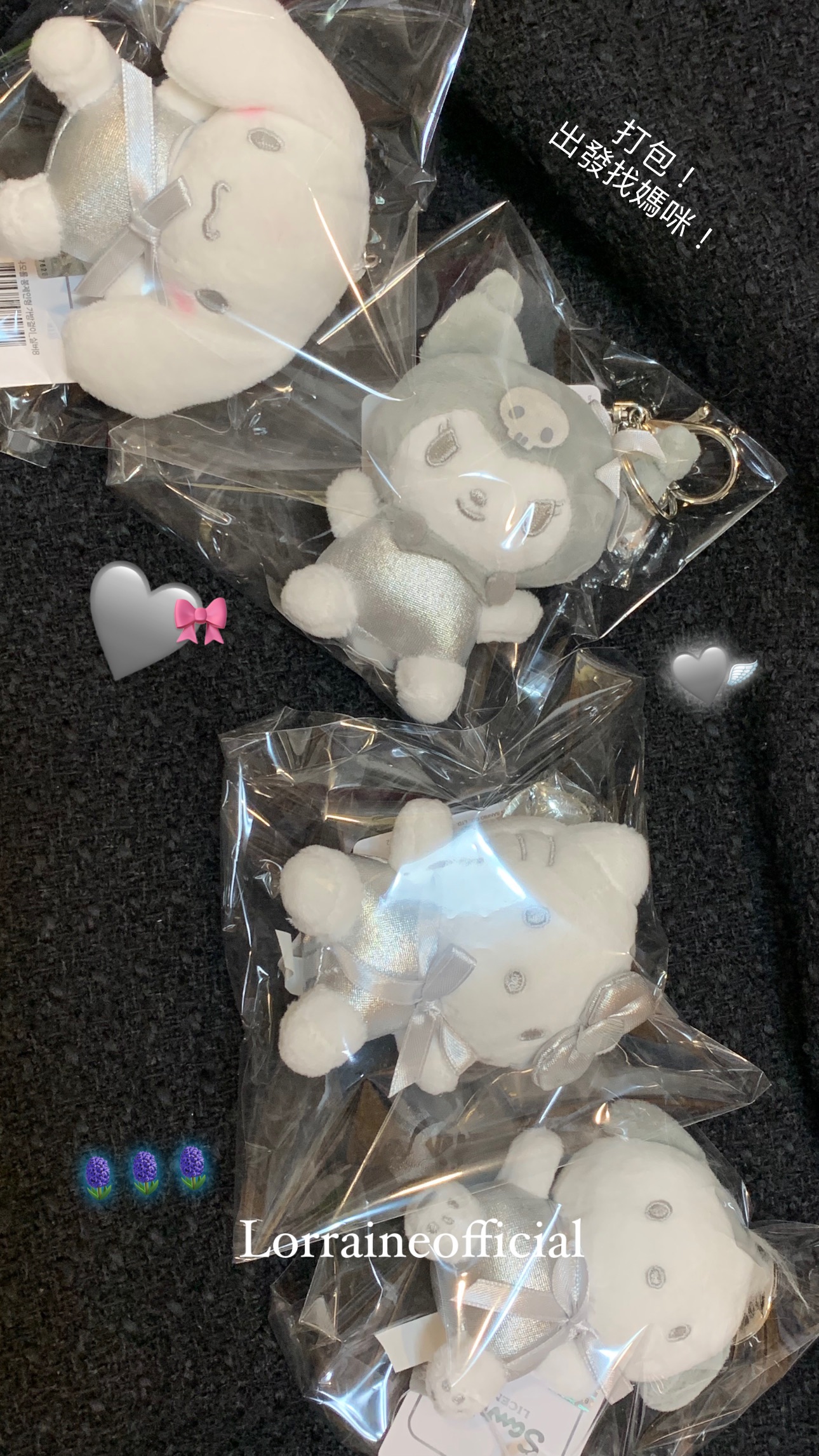 🇰🇷 預購 韓國限定銀色三麗鷗 Sanrio
